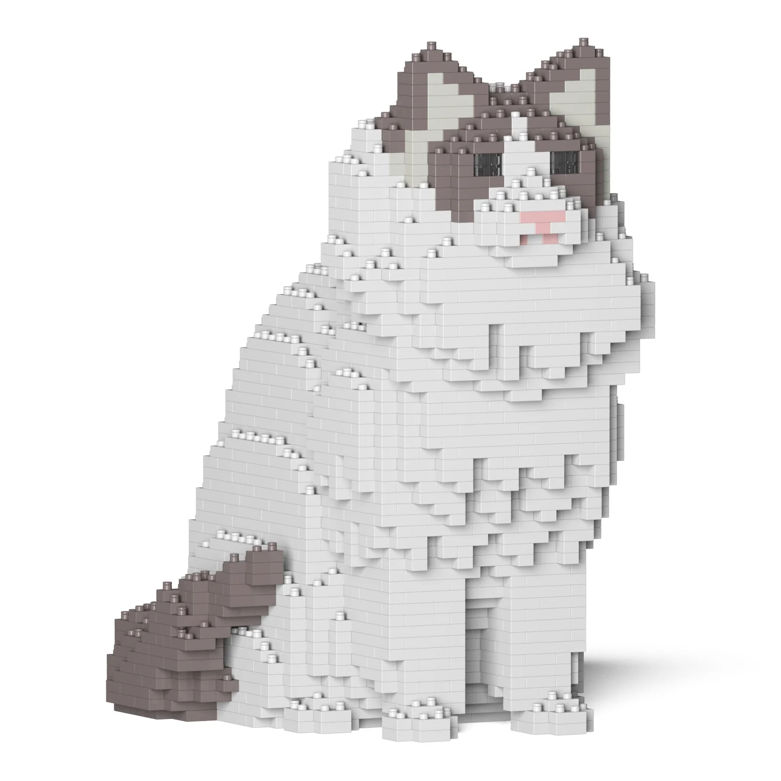 Ragdoll Cat 01S-M02 - Image 10
