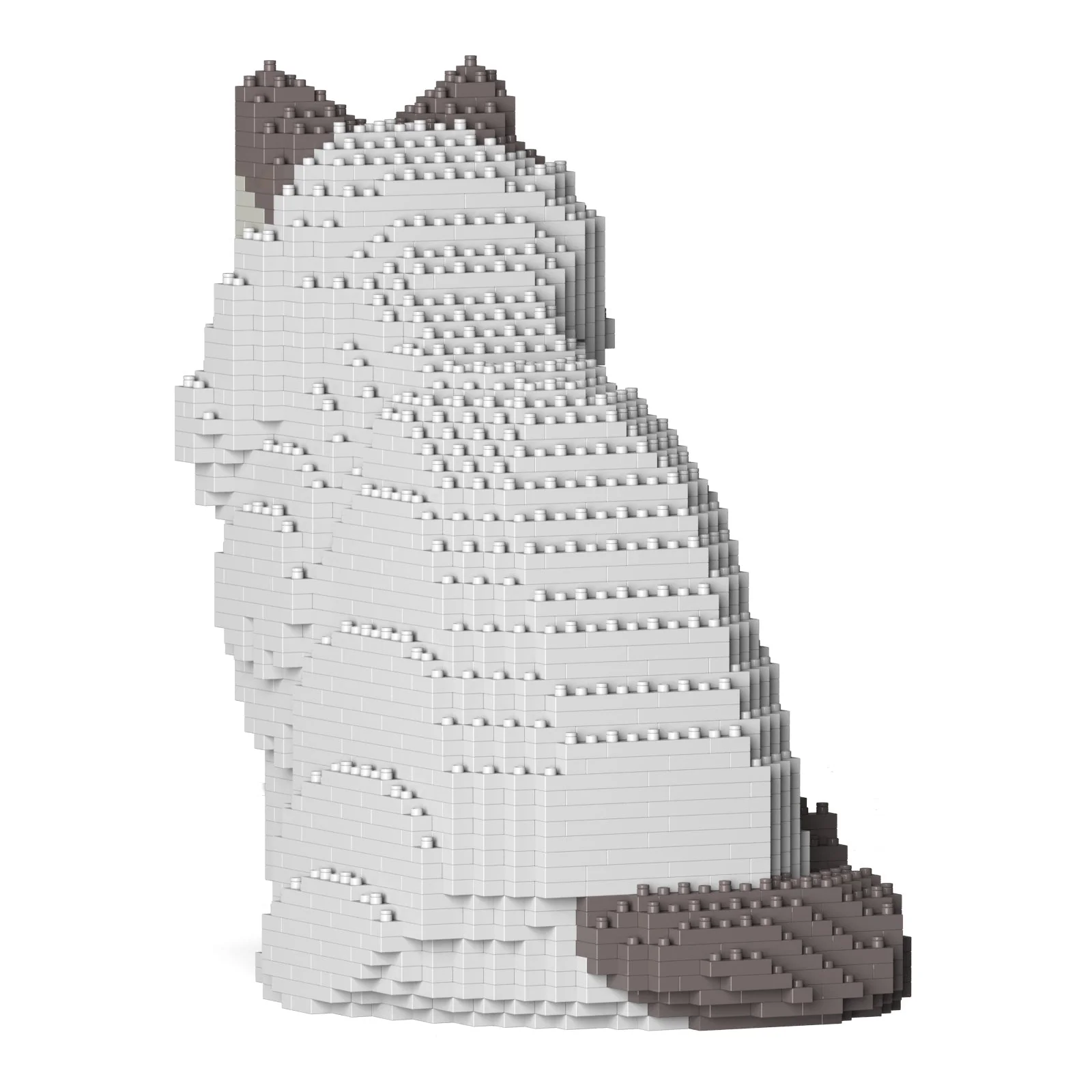 Ragdoll Cat 01S-M02 - Image 3