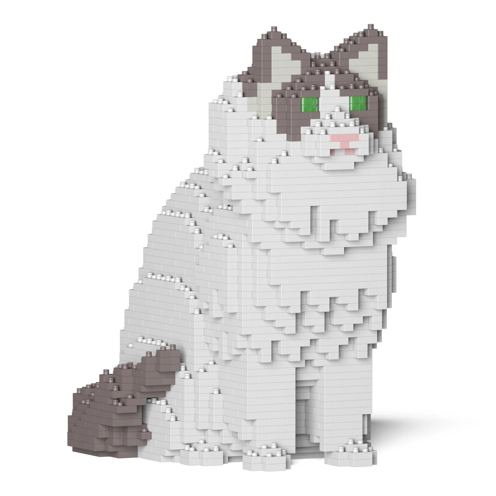 Ragdoll Cat 01S-M02 - Image 4