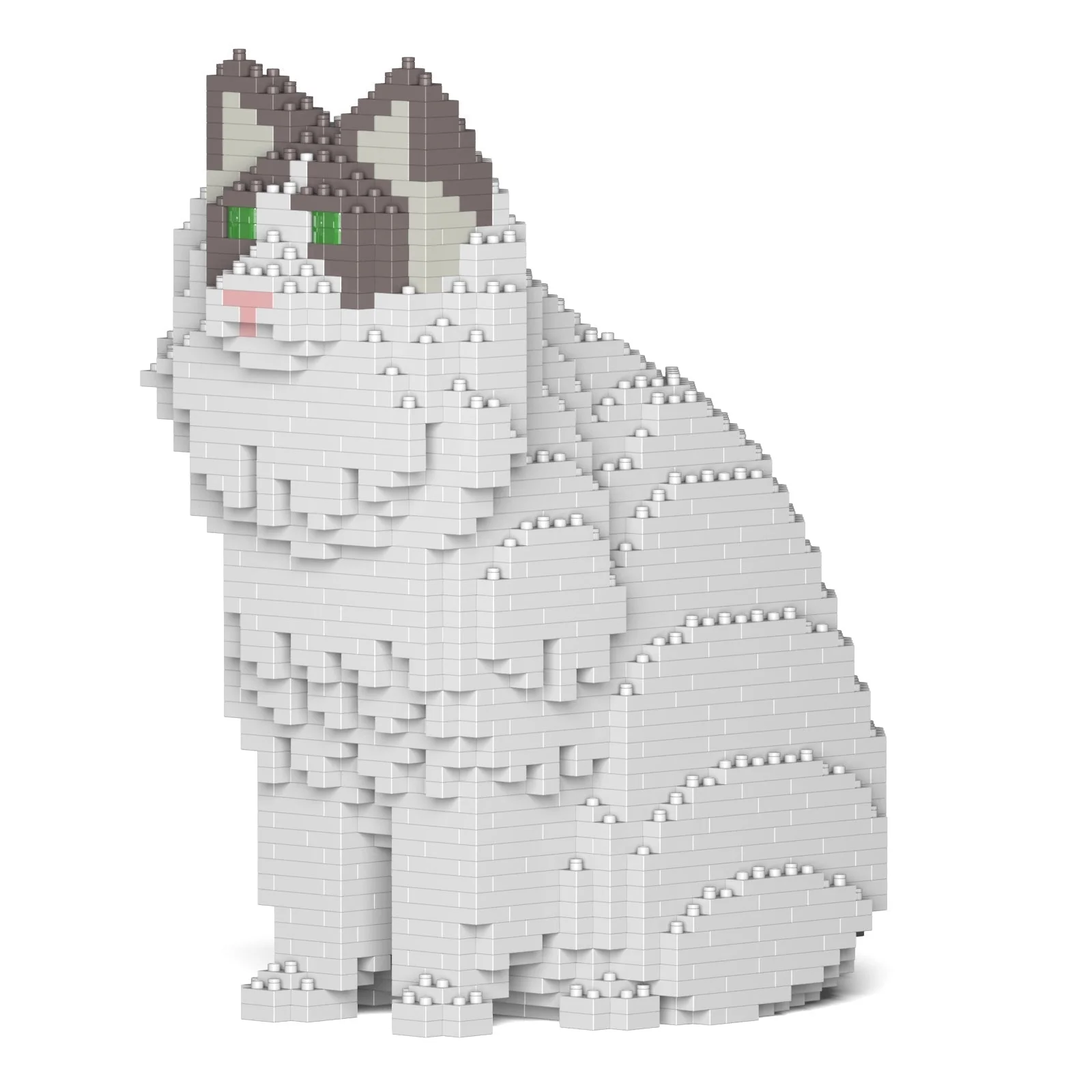 Ragdoll Cat 01S-M02 - Image 5