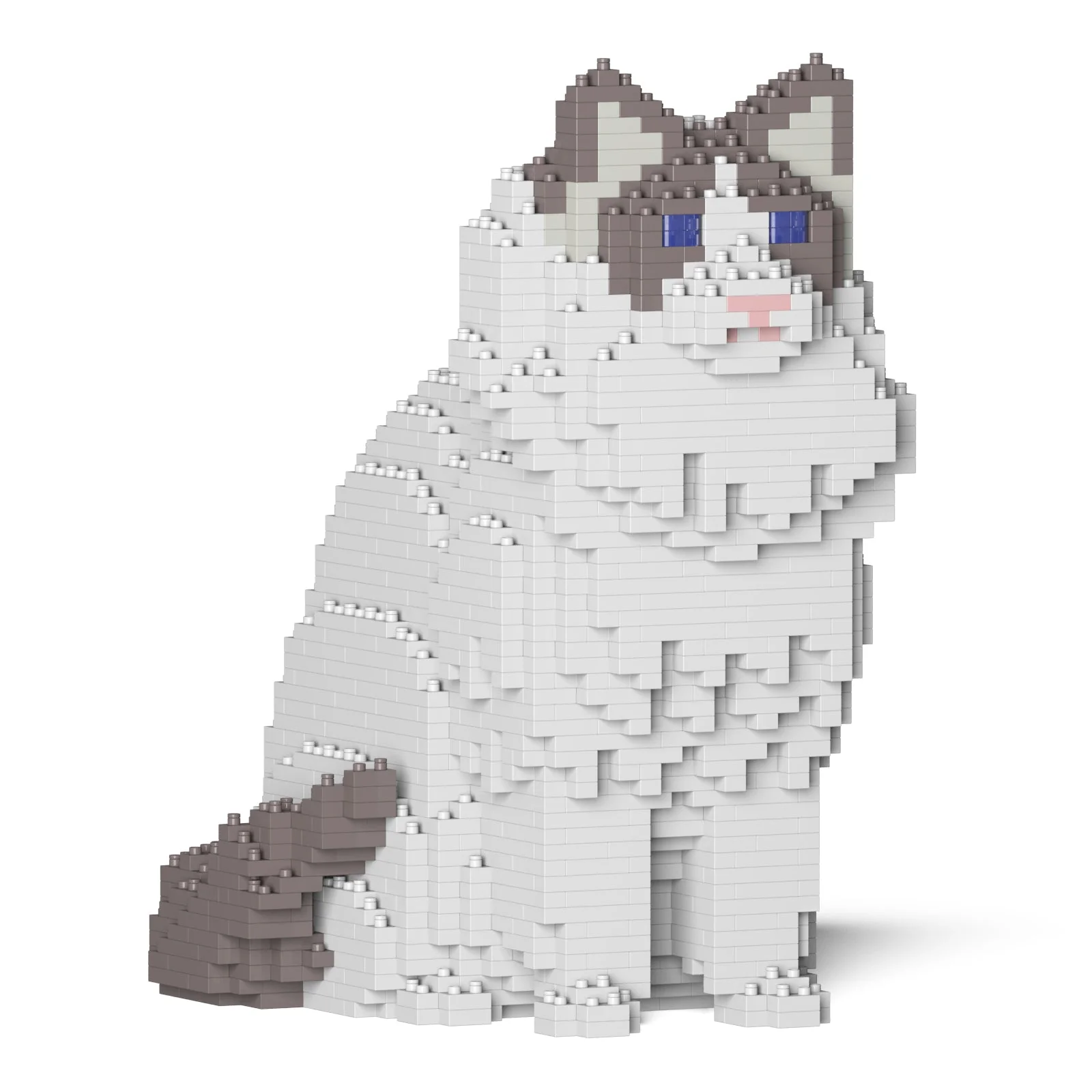 Ragdoll Cat 01S-M02 - Image 6