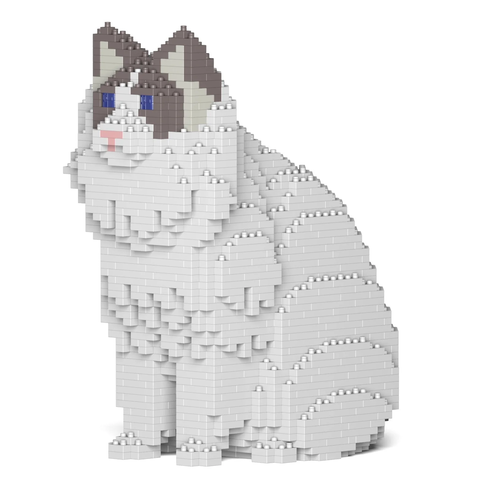 Ragdoll Cat 01S-M02 - Image 7