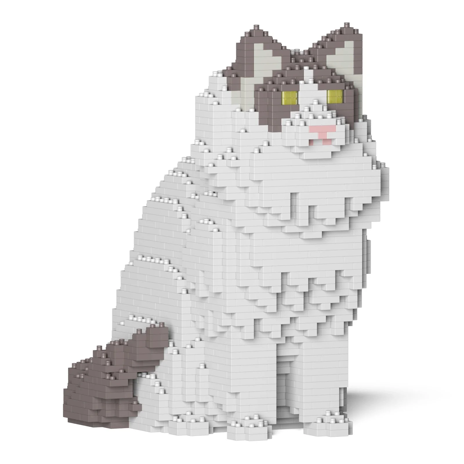 Ragdoll Cat 01S-M02 - Image 8