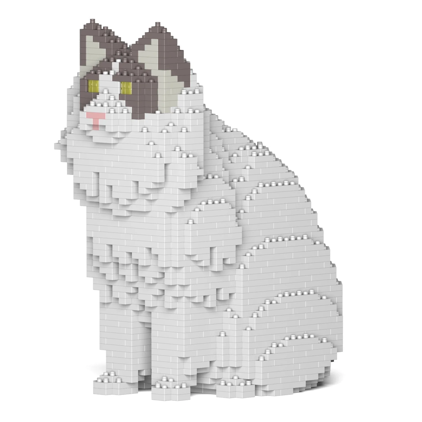 Ragdoll Cat 01S-M02 - Image 9