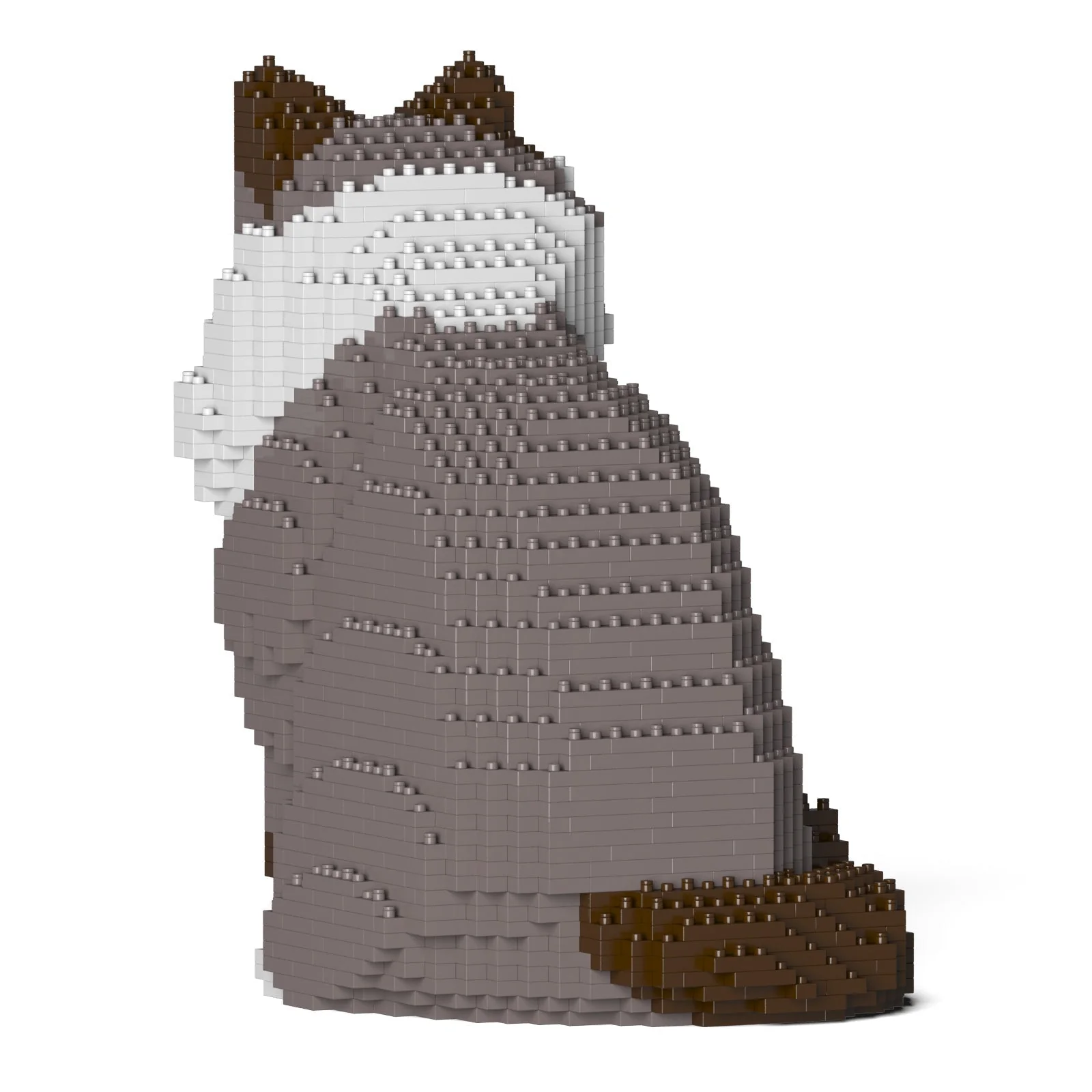 Ragdoll Cat 01S-M03 - Image 3