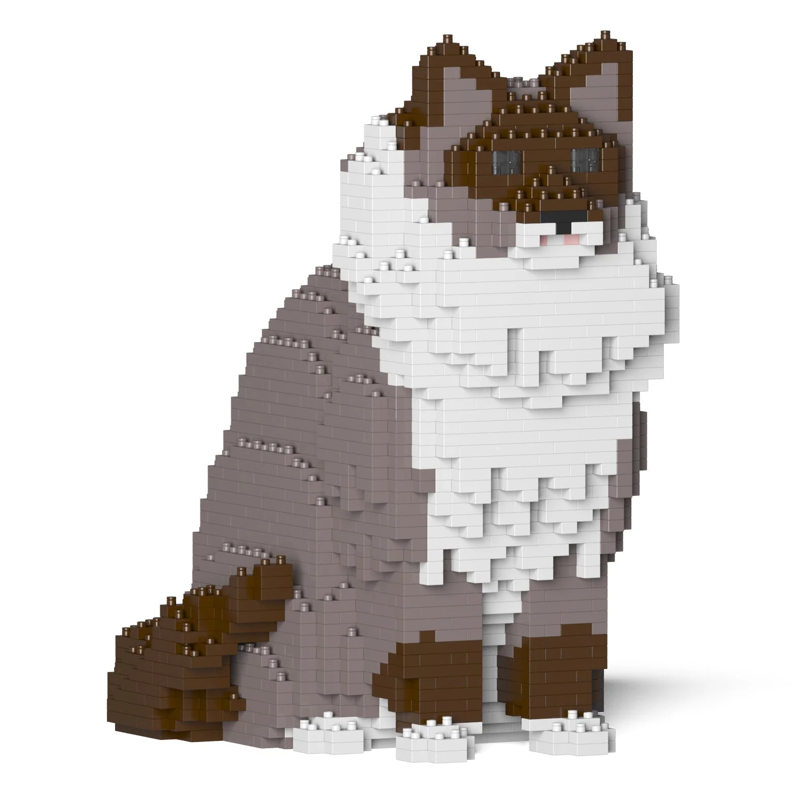 Ragdoll Cat 01S-M03 - Image 4