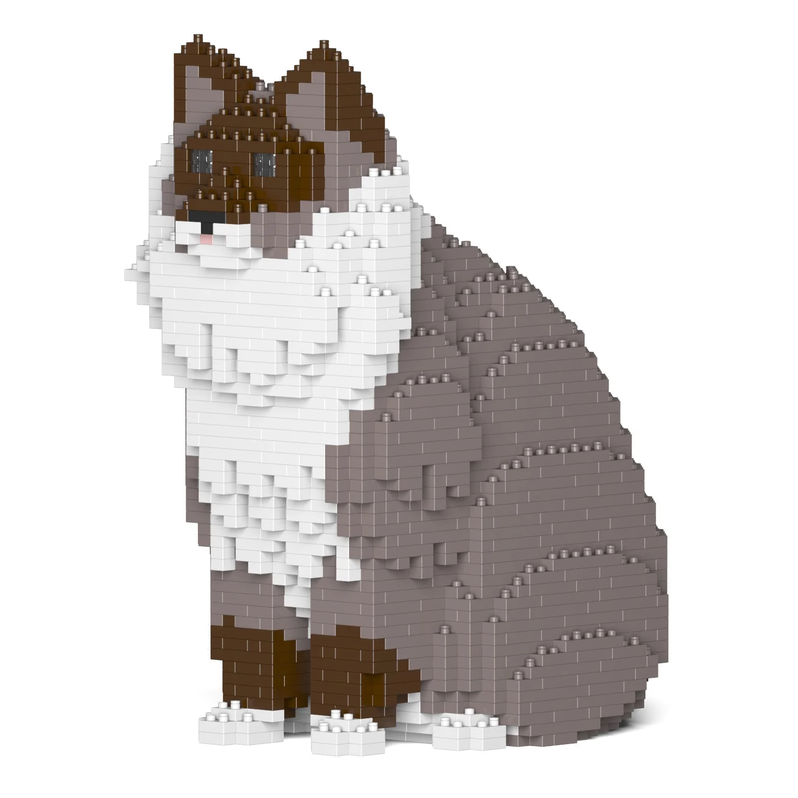 Ragdoll Cat 01S-M03 - Image 5