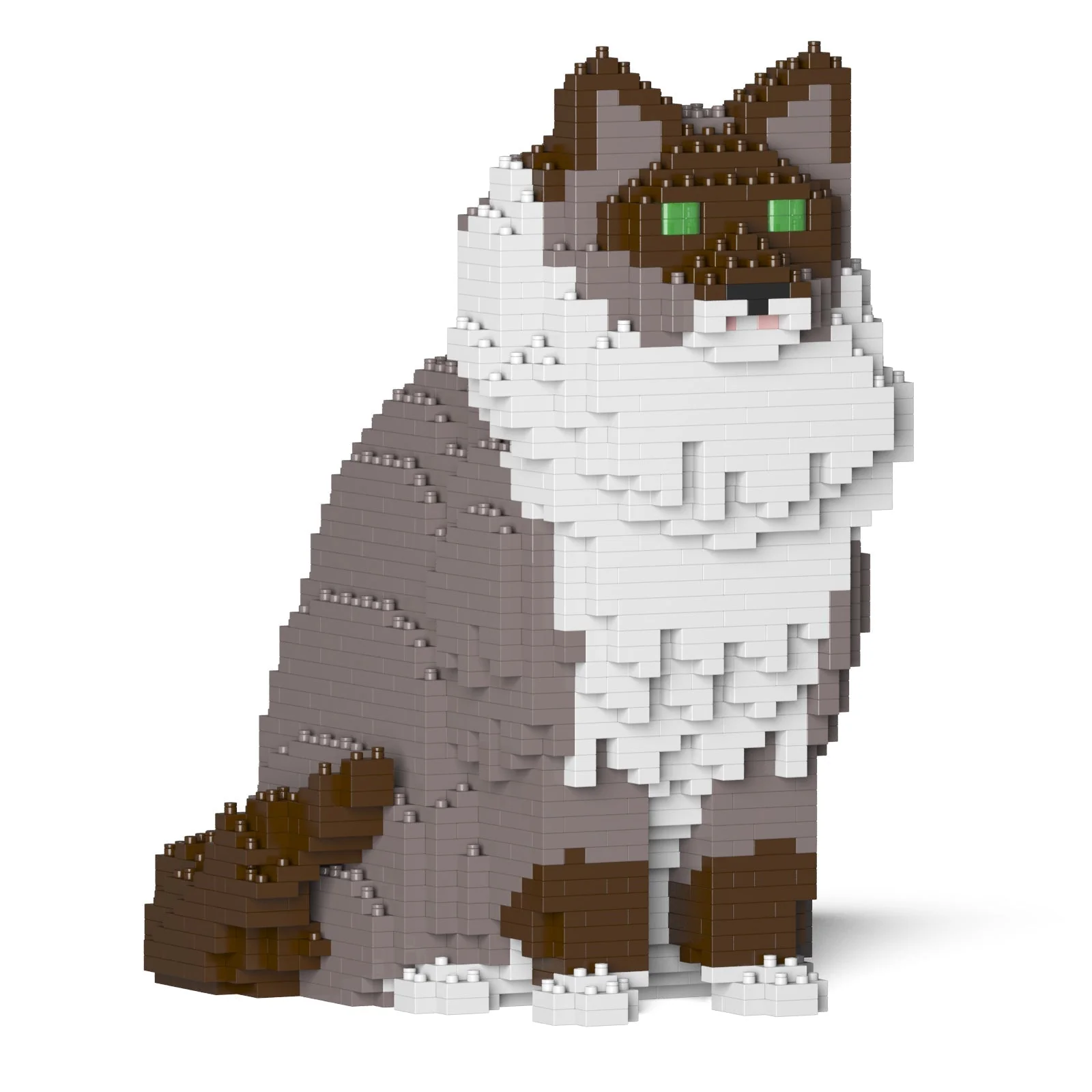 Ragdoll Cat 01S-M03 - Image 6