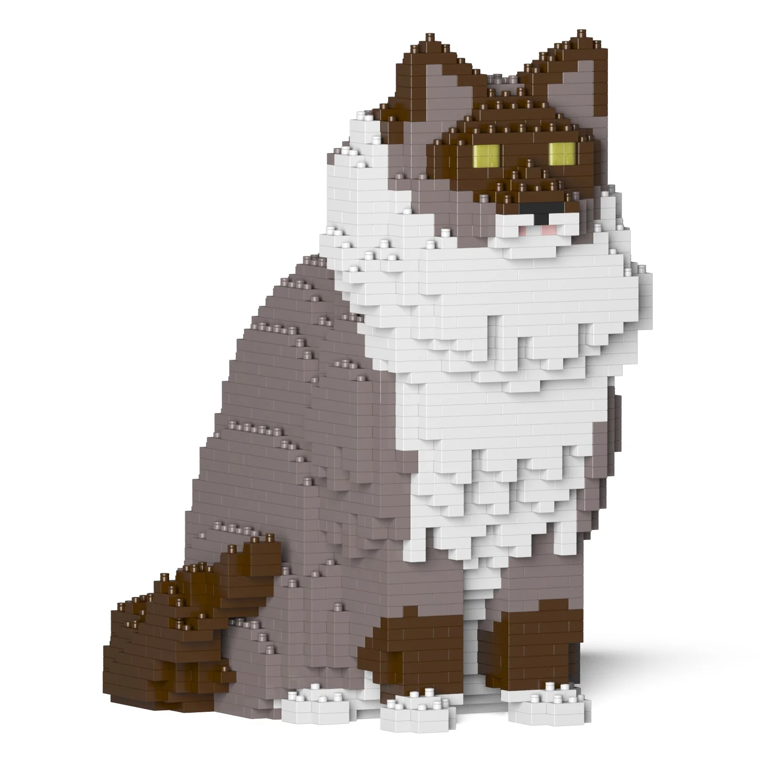 Ragdoll Cat 01S-M03 - Image 8