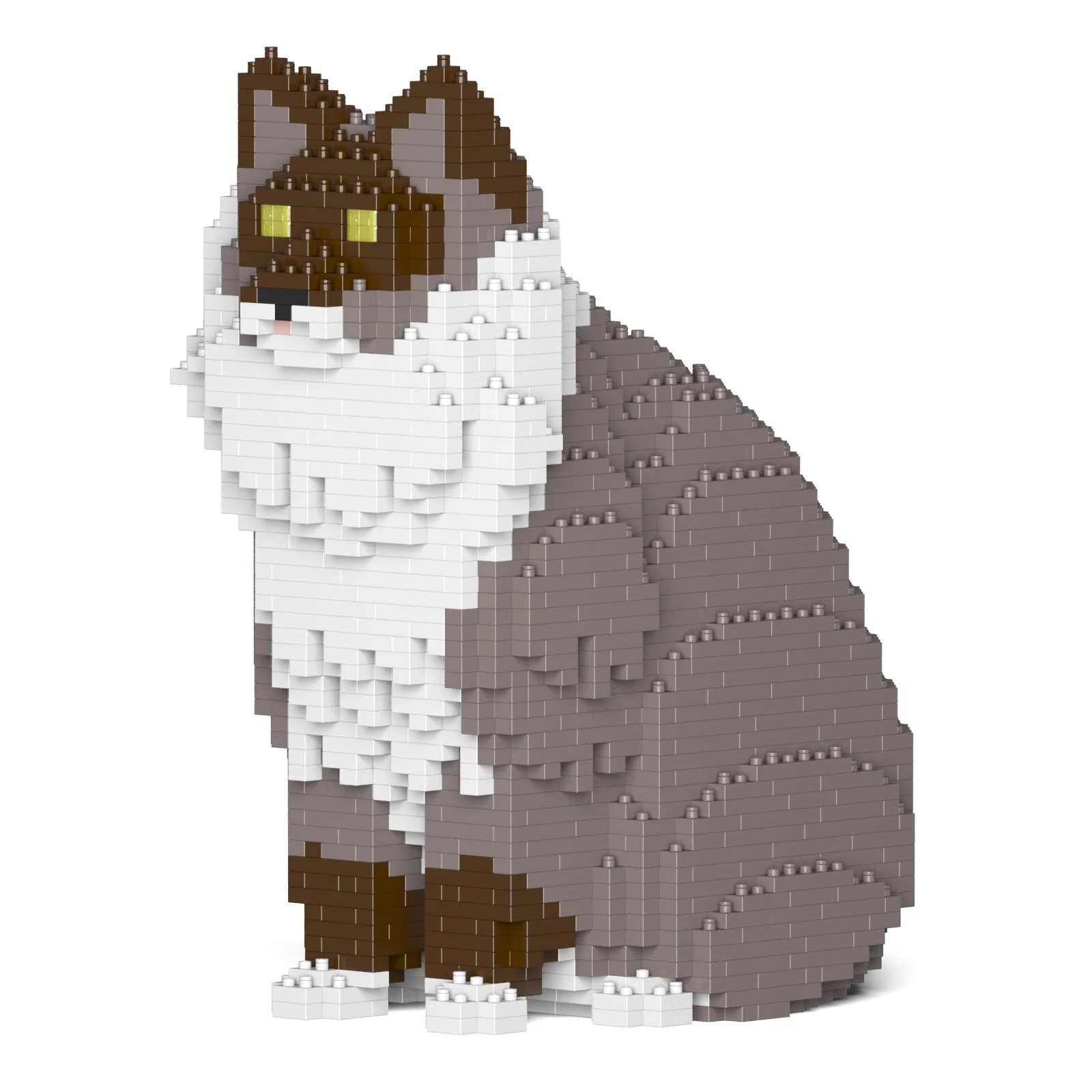 Ragdoll Cat 01S-M03 - Image 9