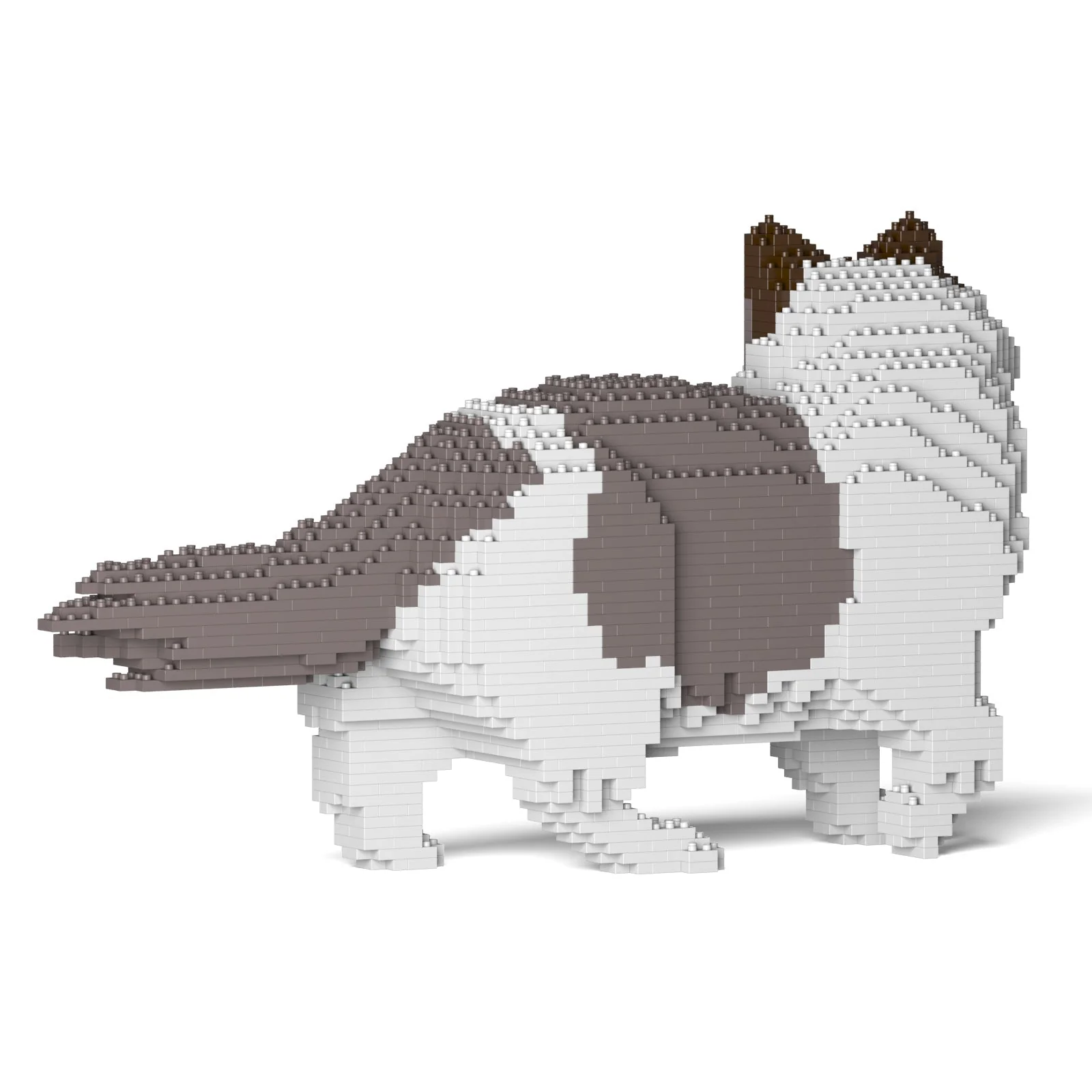 Ragdoll Cat 02S-M01 - Image 3