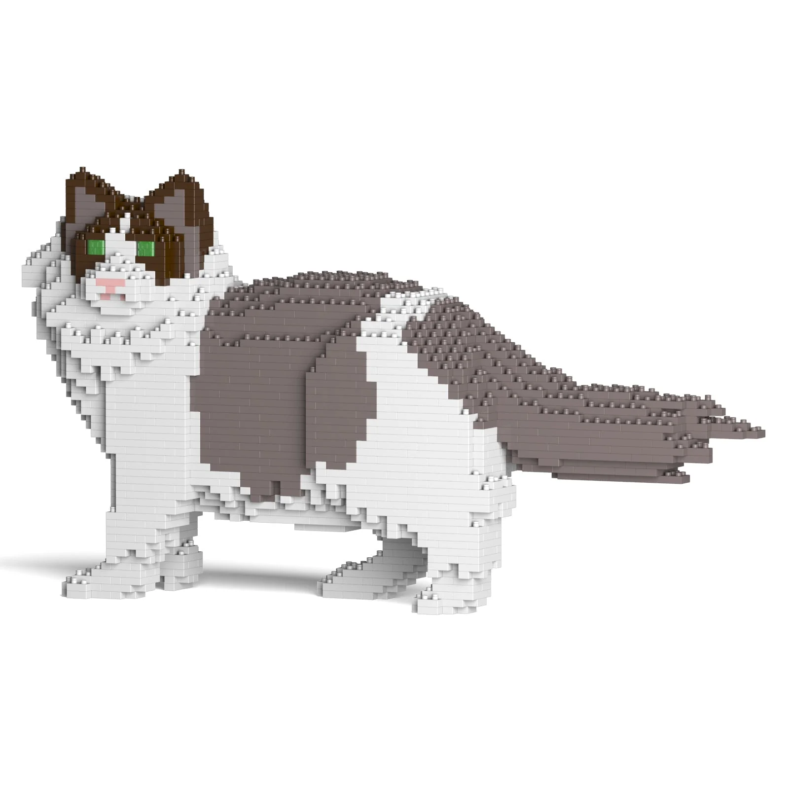 Ragdoll Cat 02S-M01 - Image 7