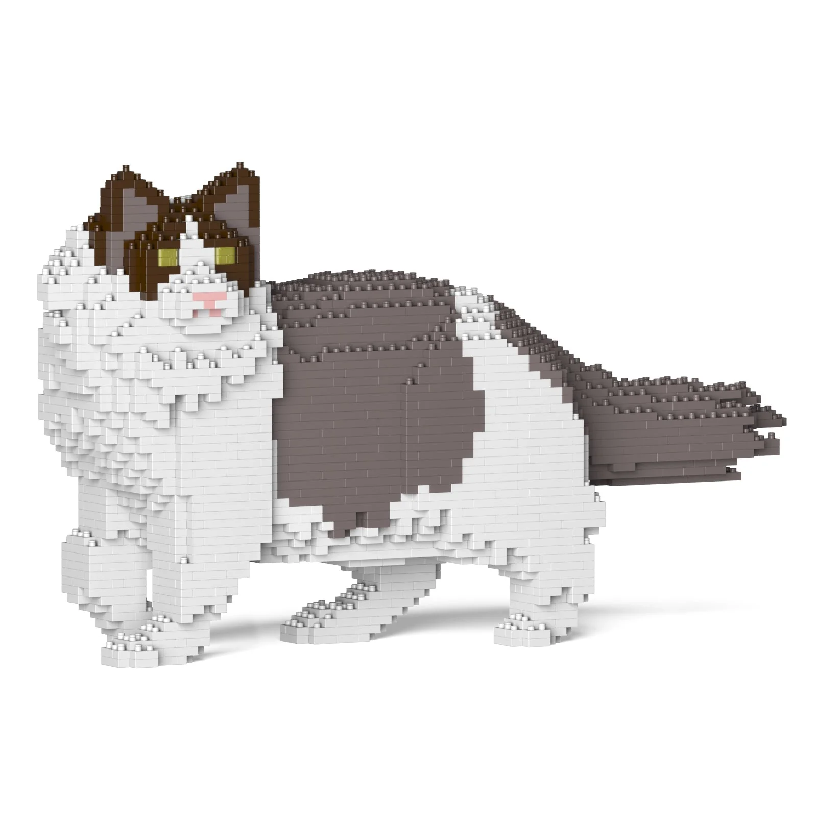 Ragdoll Cat 02S-M01 - Image 8