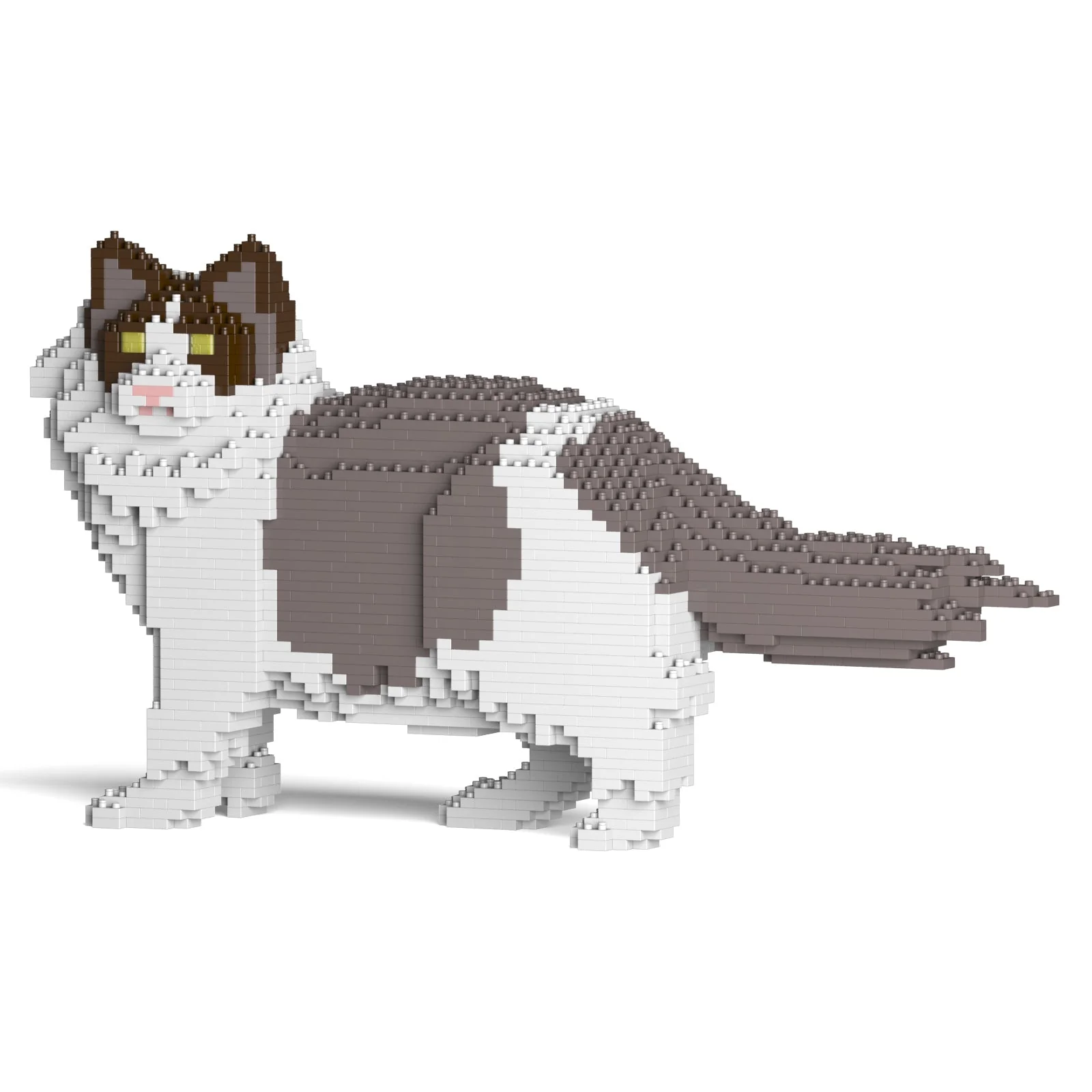 Ragdoll Cat 02S-M01 - Image 9