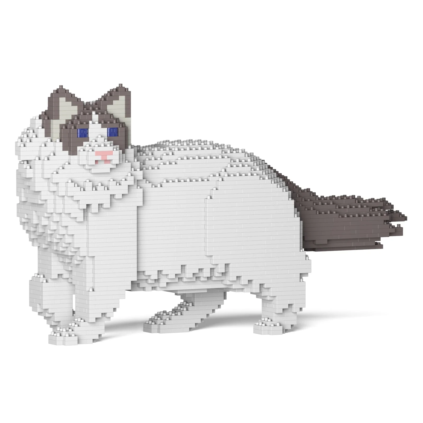 Ragdoll Cat 02S-M02 - Image 10