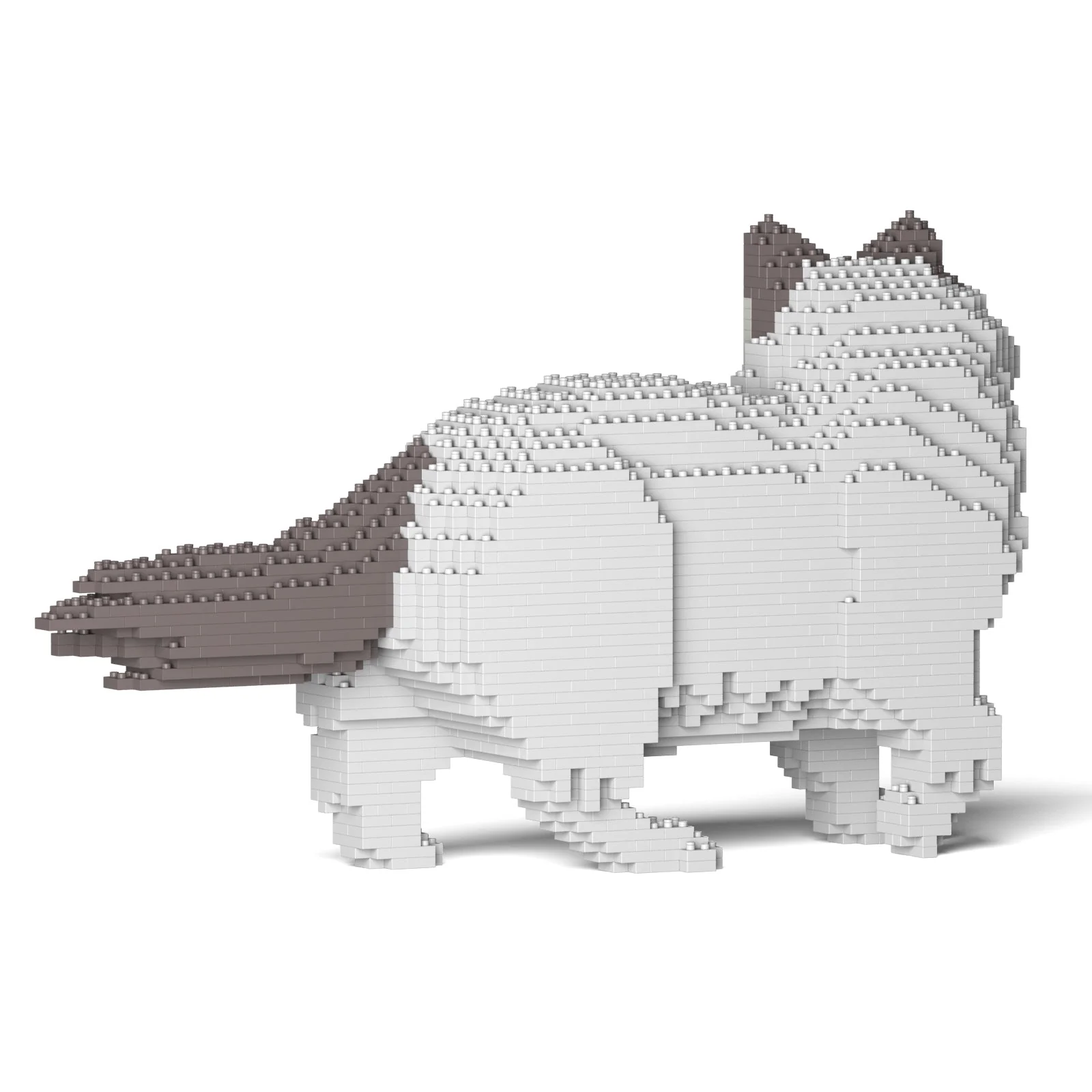 Ragdoll Cat 02S-M02 - Image 3