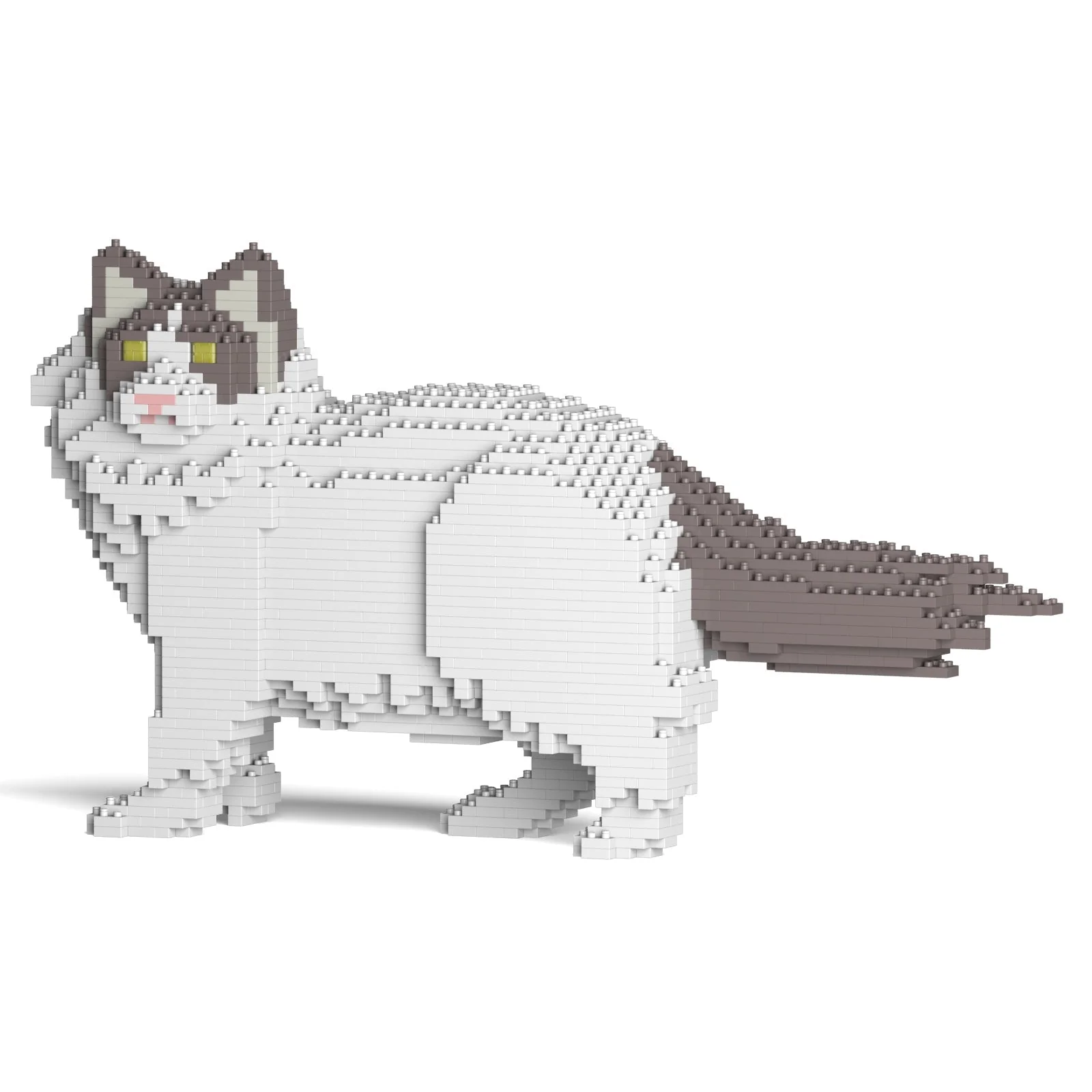Ragdoll Cat 02S-M02 - Image 4