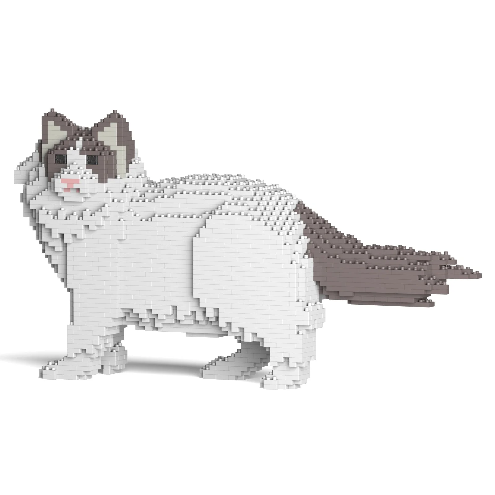 Ragdoll Cat 02S-M02 - Image 6