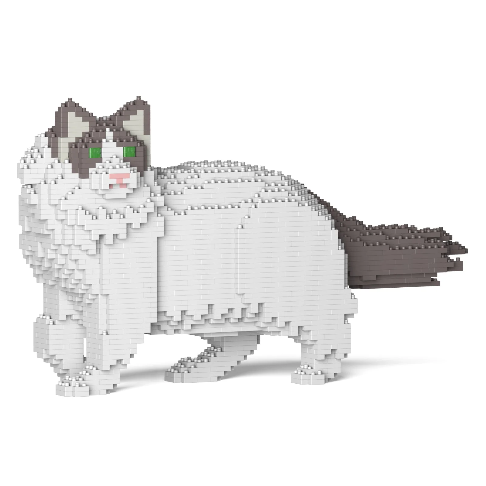 Ragdoll Cat 02S-M02 - Image 7