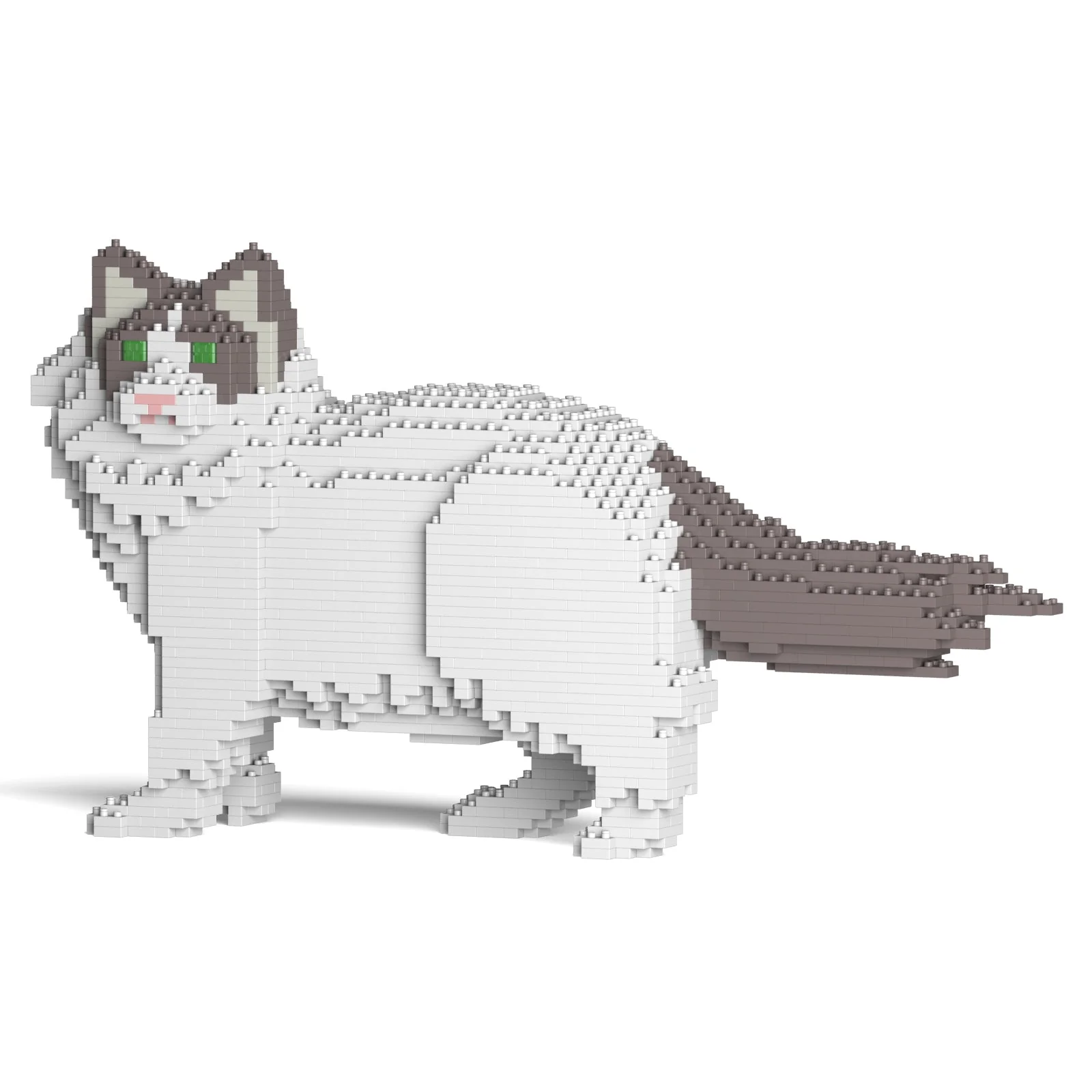 Ragdoll Cat 02S-M02 - Image 8