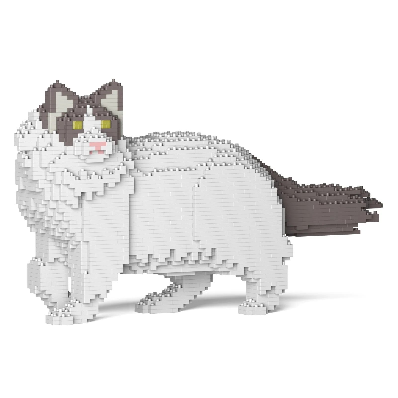 Ragdoll Cat 02S-M02 - Image 9