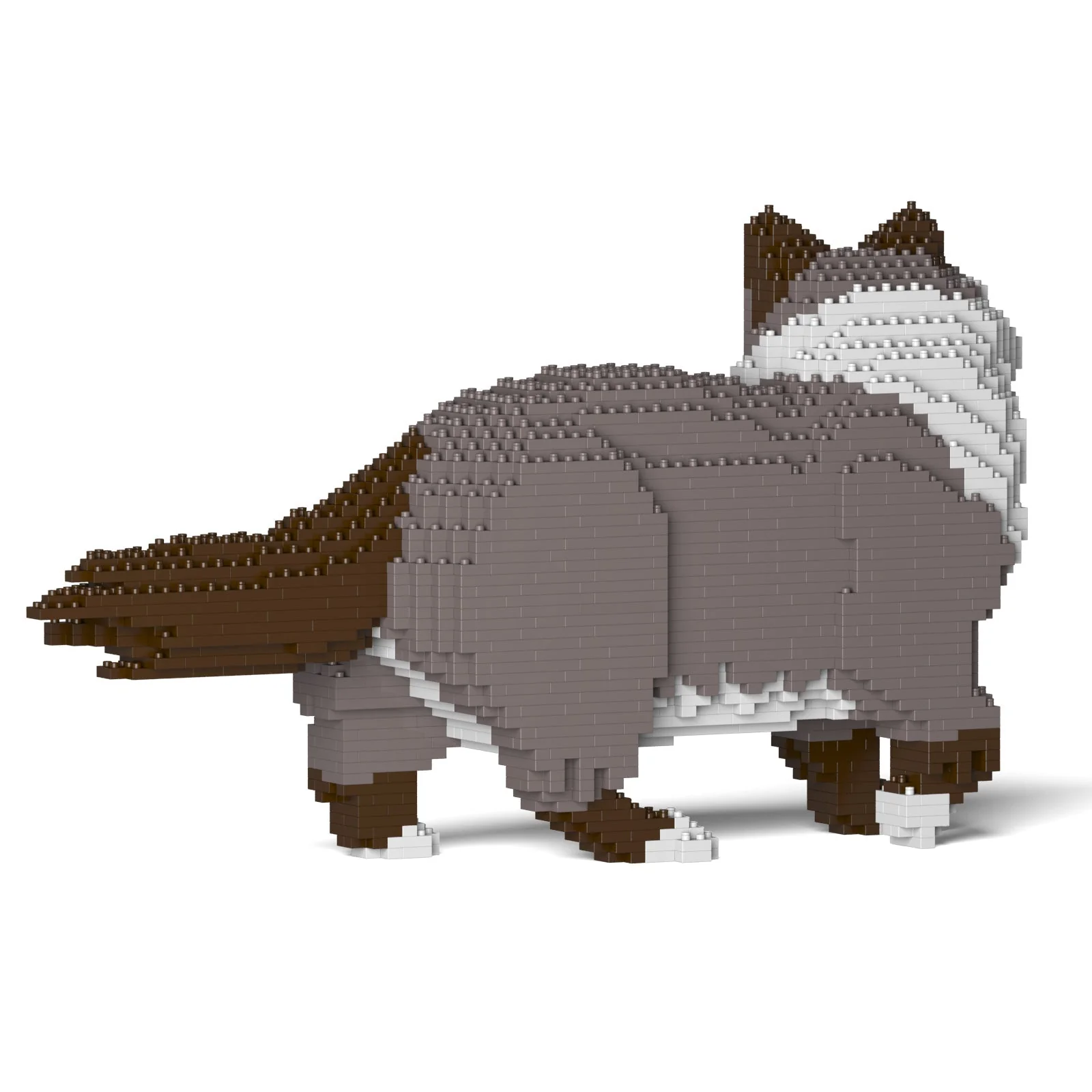 Ragdoll Cat 02S-M03 - Image 3