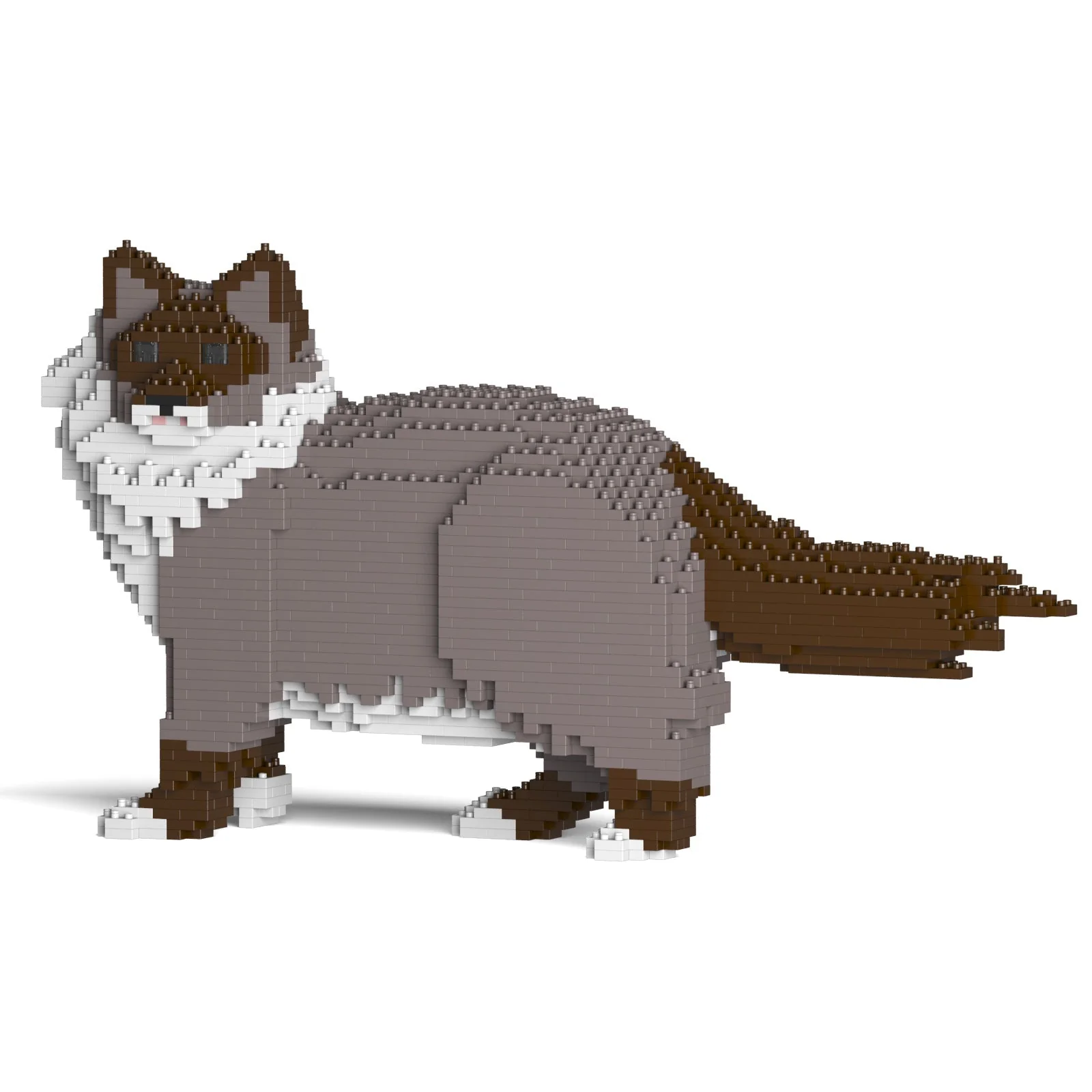 Ragdoll Cat 02S-M03 - Image 5