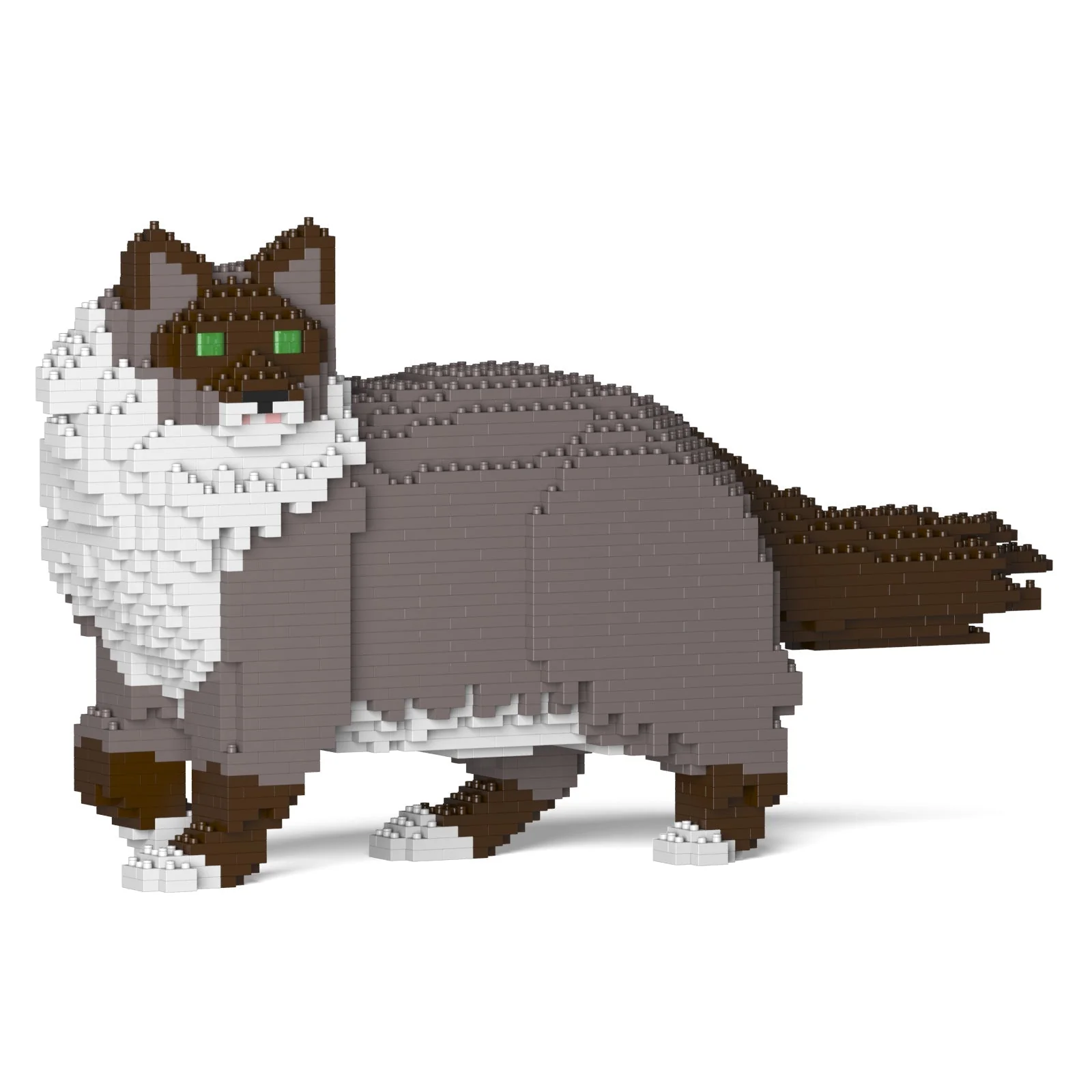 Ragdoll Cat 02S-M03 - Image 6