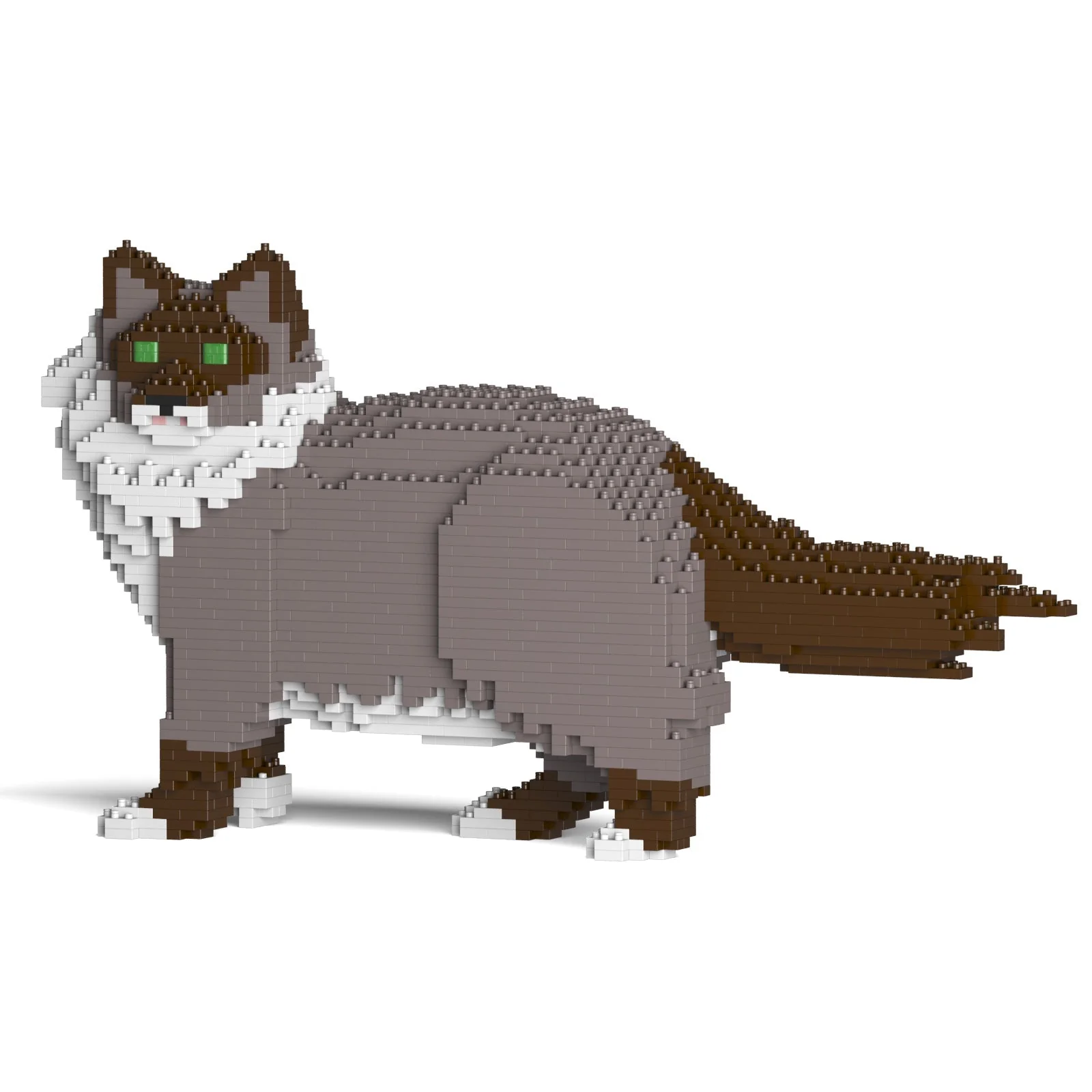 Ragdoll Cat 02S-M03 - Image 7
