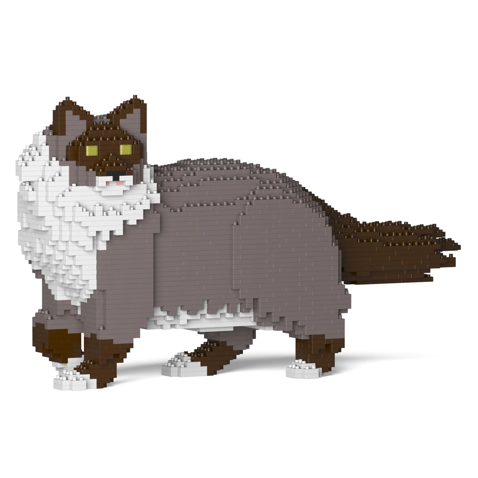 Ragdoll Cat 02S-M03 - Image 8