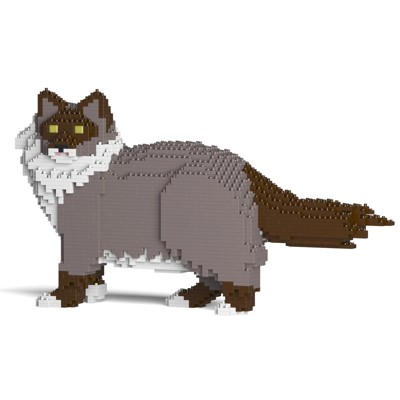 Ragdoll Cat 02S-M03 - Image 9