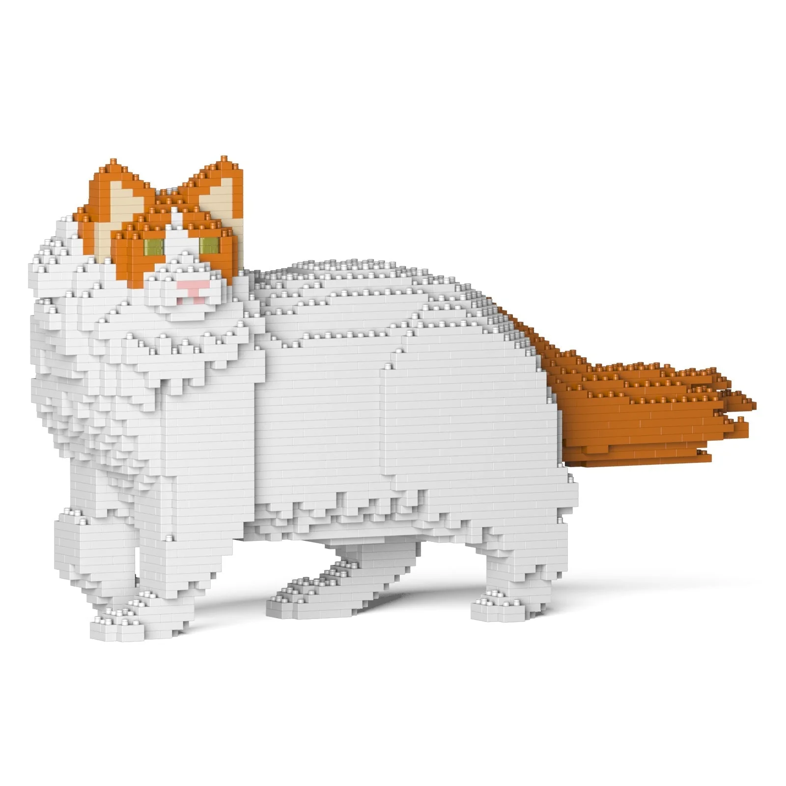 Ragdoll Cat 02S-M04 - Image 4