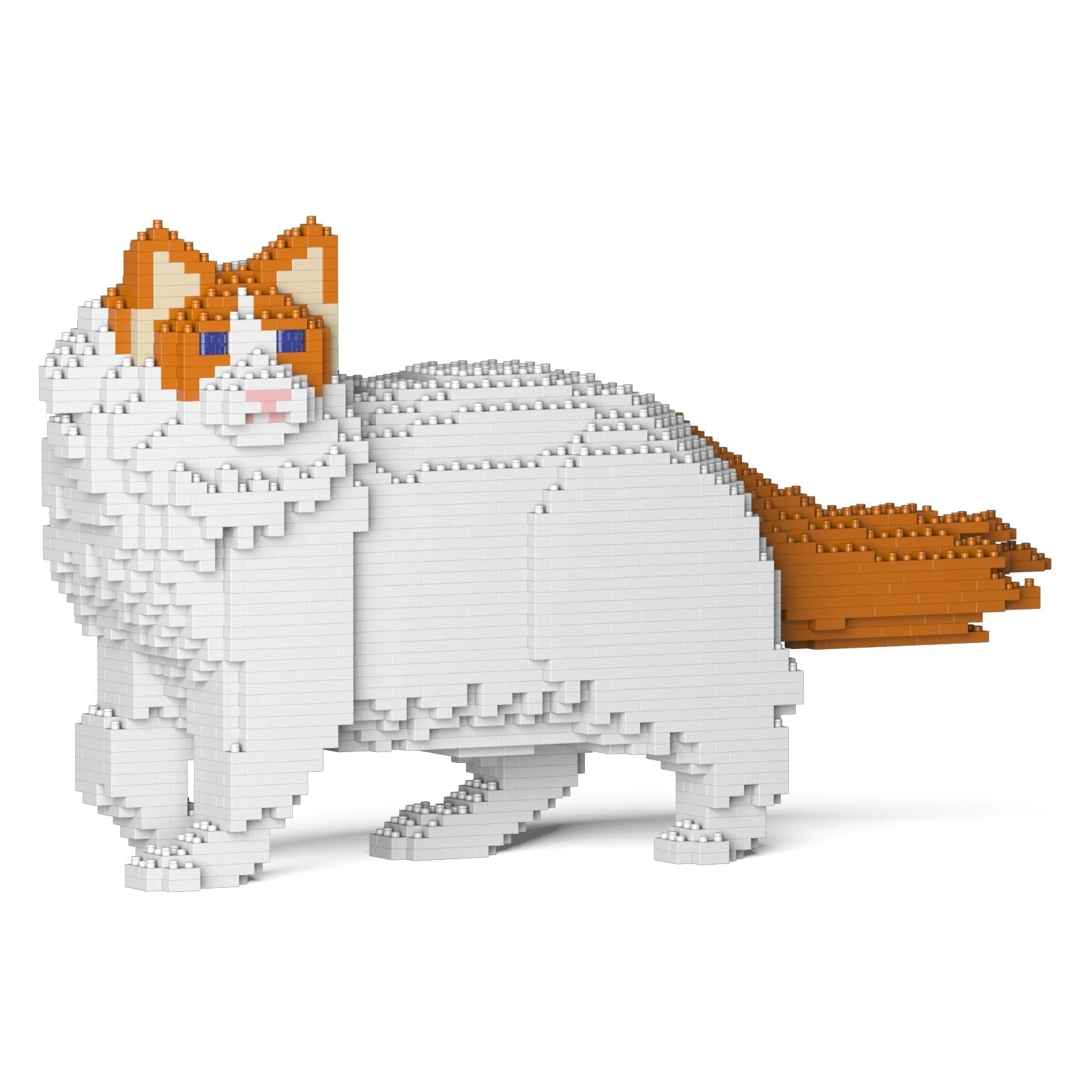 Ragdoll Cat 02S-M04 - Image 5
