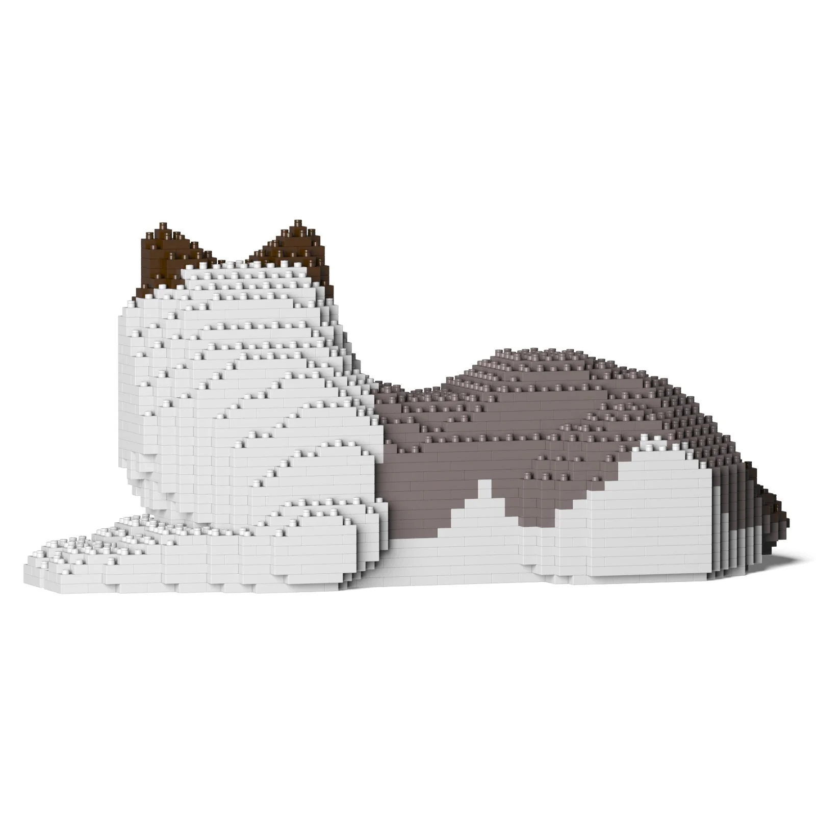 Ragdoll Cat 03S-M01 - Image 3