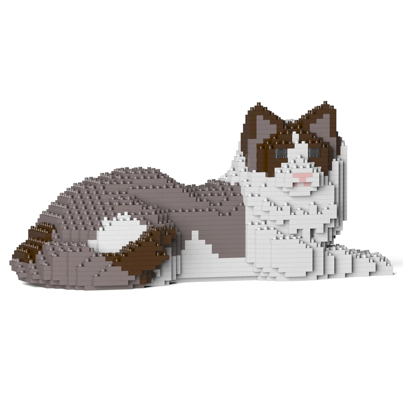 Ragdoll Cat 03S-M01 - Image 4