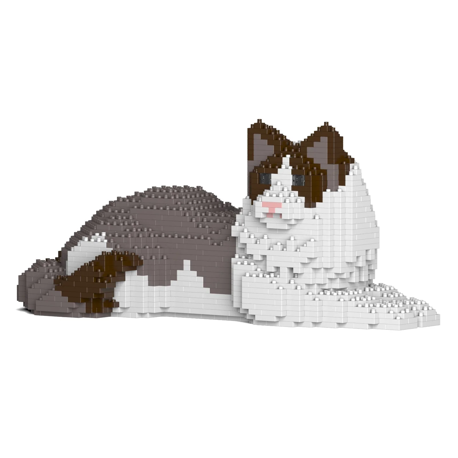 Ragdoll Cat 03S-M01 - Image 5