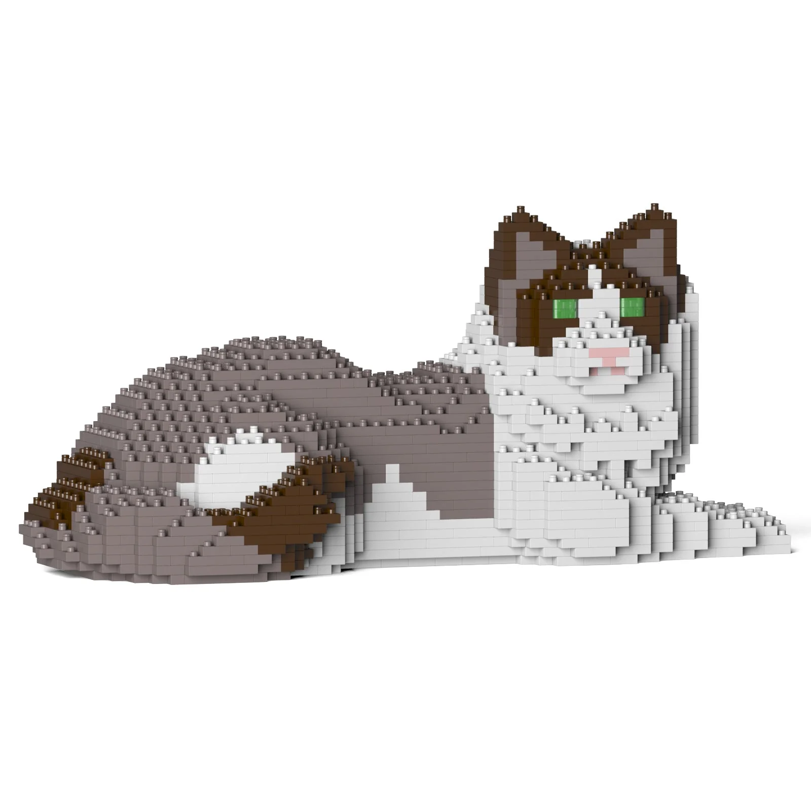 Ragdoll Cat 03S-M01 - Image 6