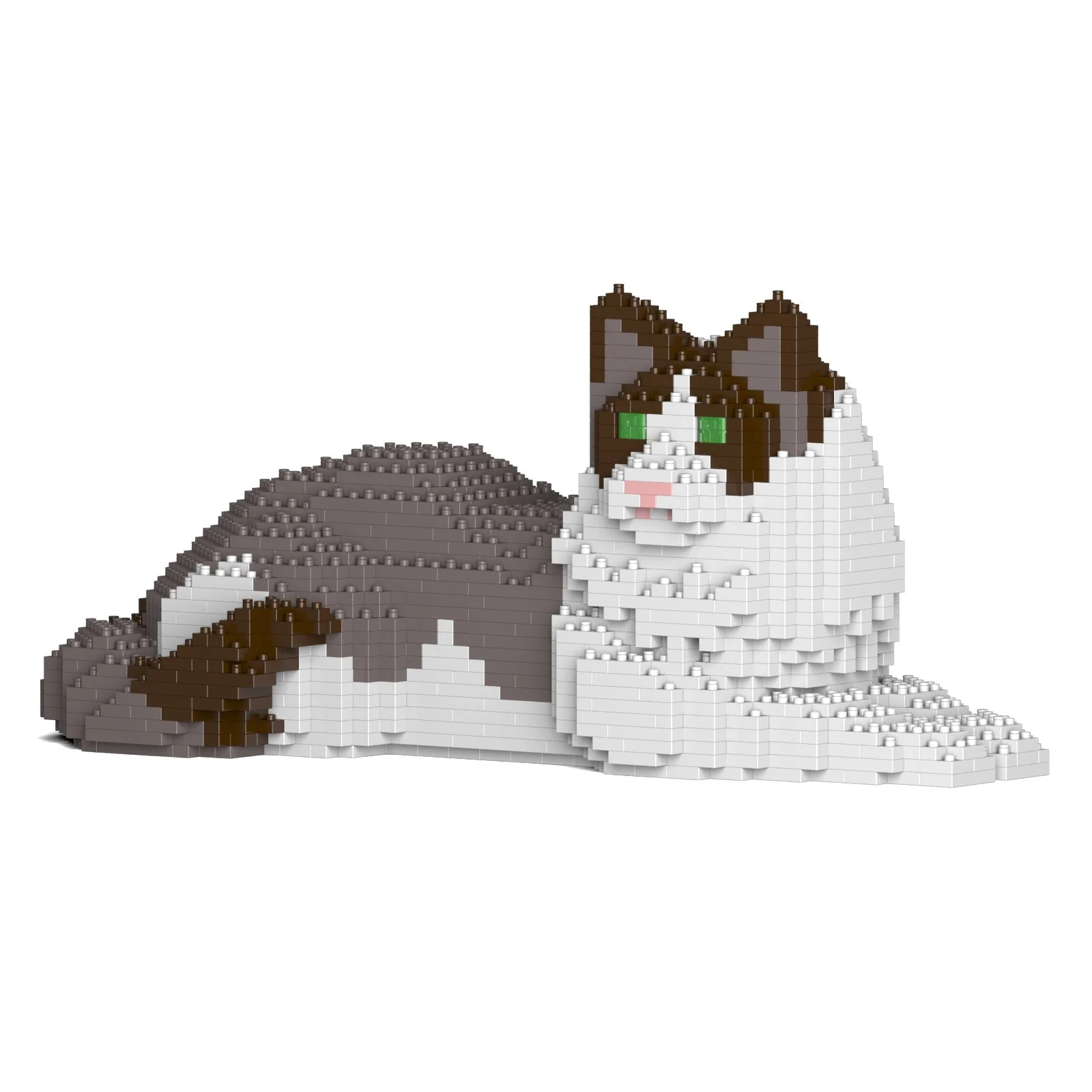 Ragdoll Cat 03S-M01 - Image 7