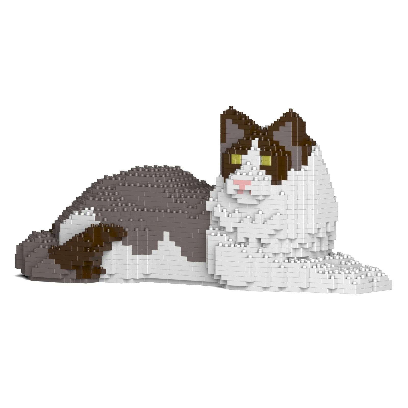 Ragdoll Cat 03S-M01 - Image 9