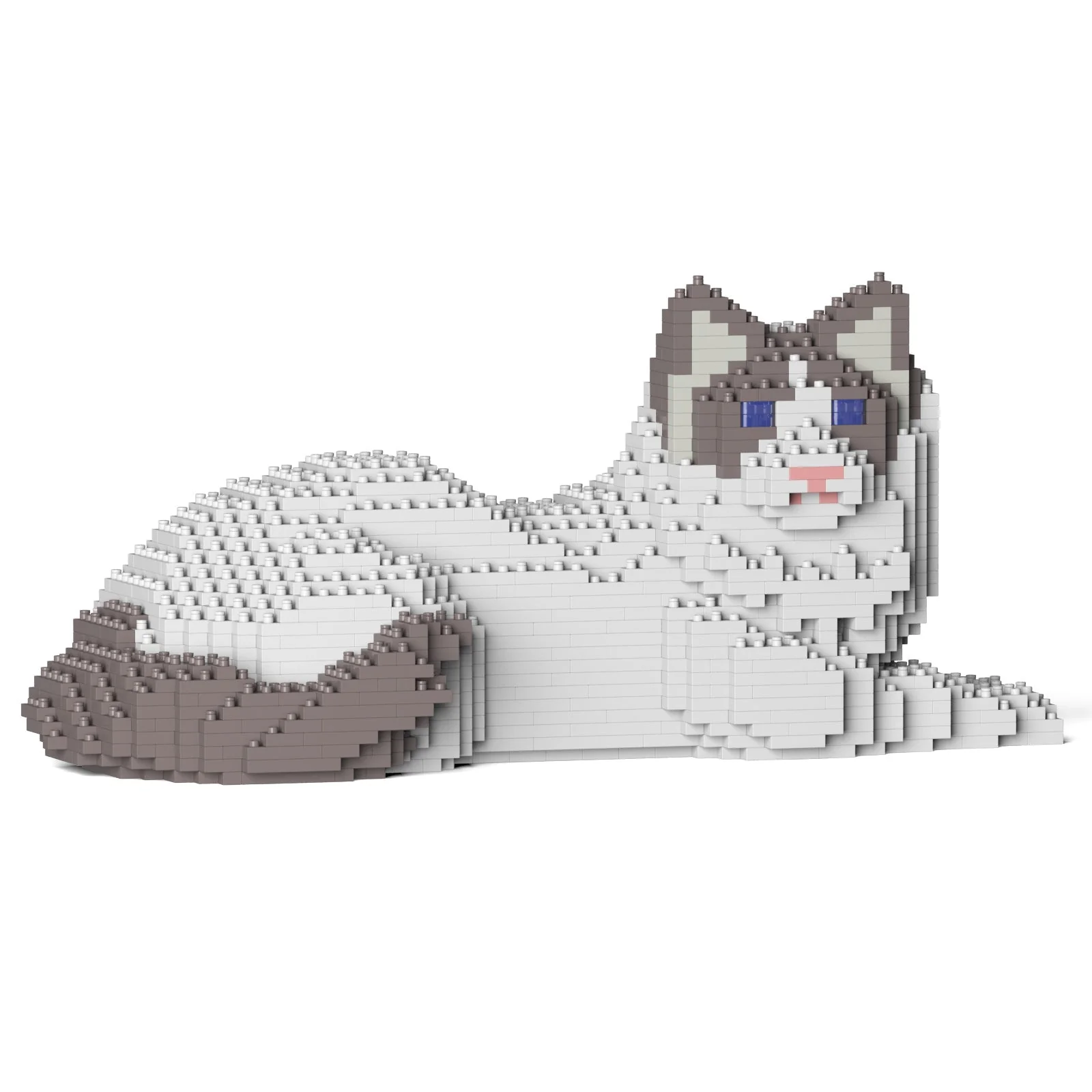 Ragdoll Cat 03S-M02 - Image 10