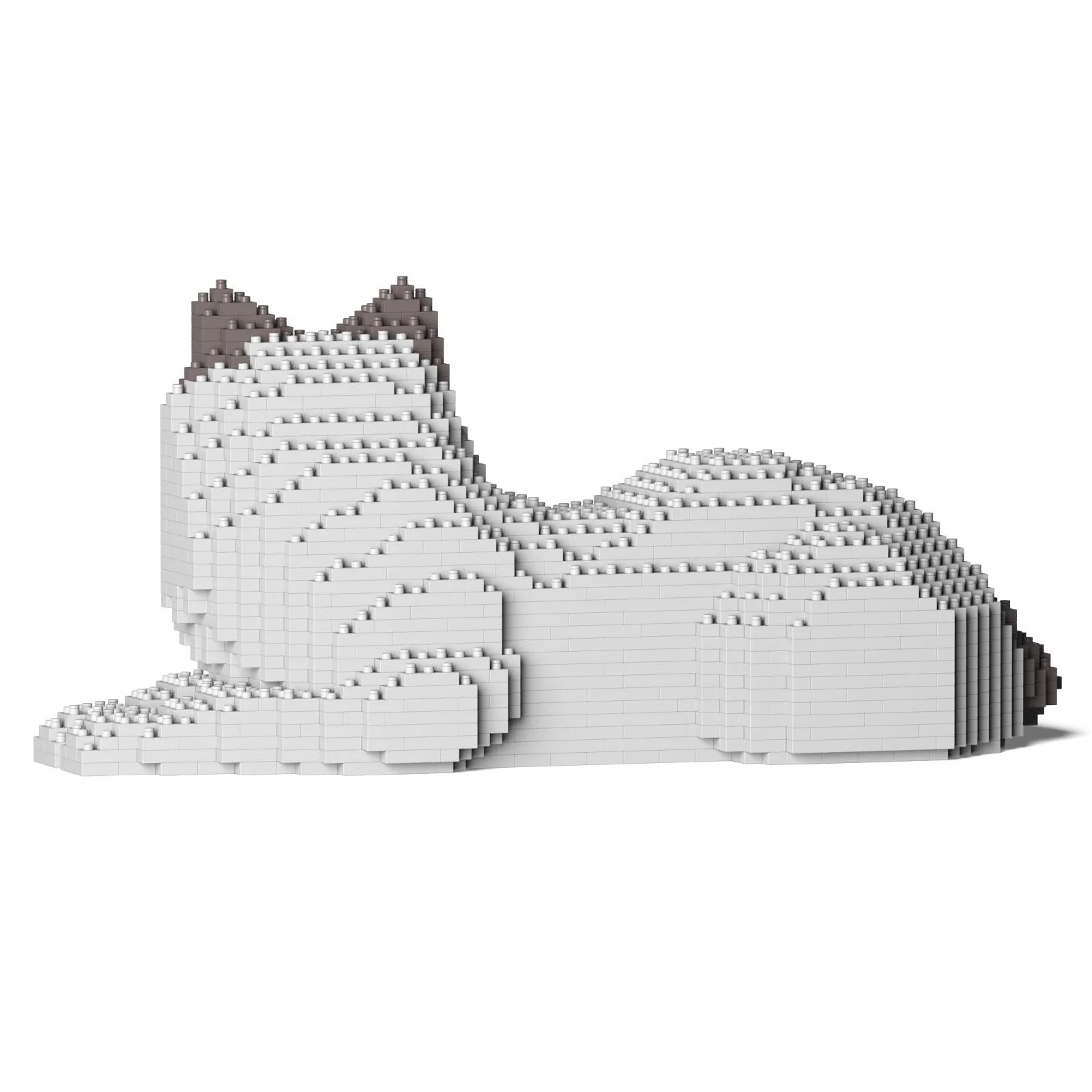 Ragdoll Cat 03S-M02 - Image 3