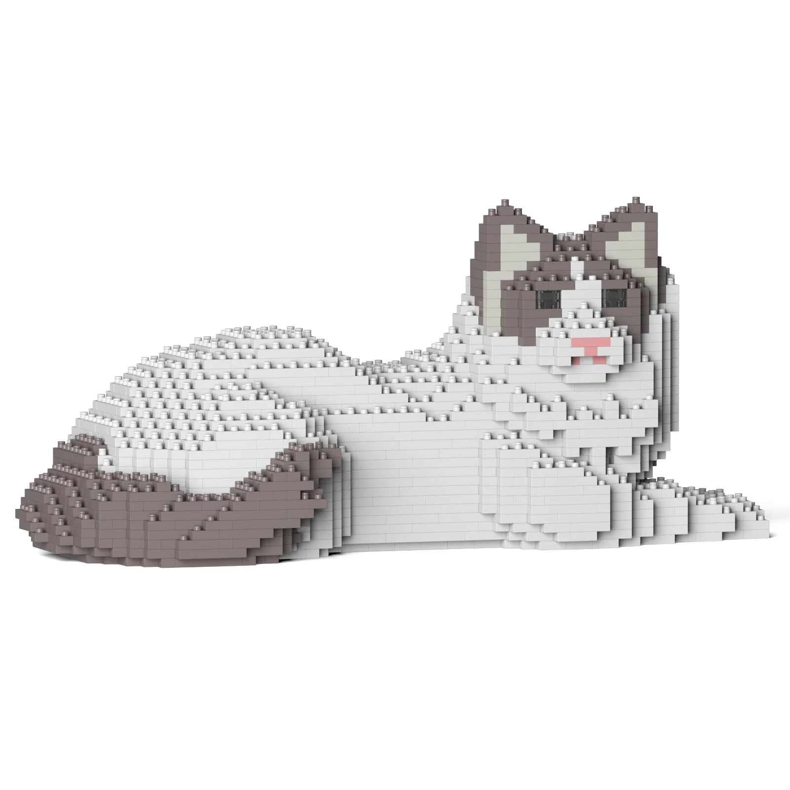 Ragdoll Cat 03S-M02 - Image 4