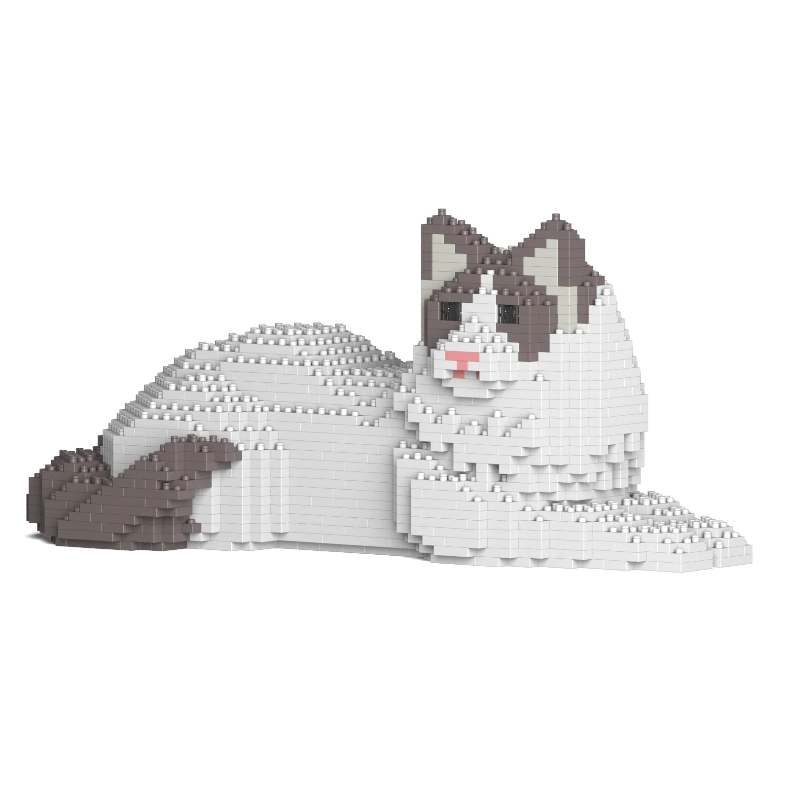 Ragdoll Cat 03S-M02 - Image 5