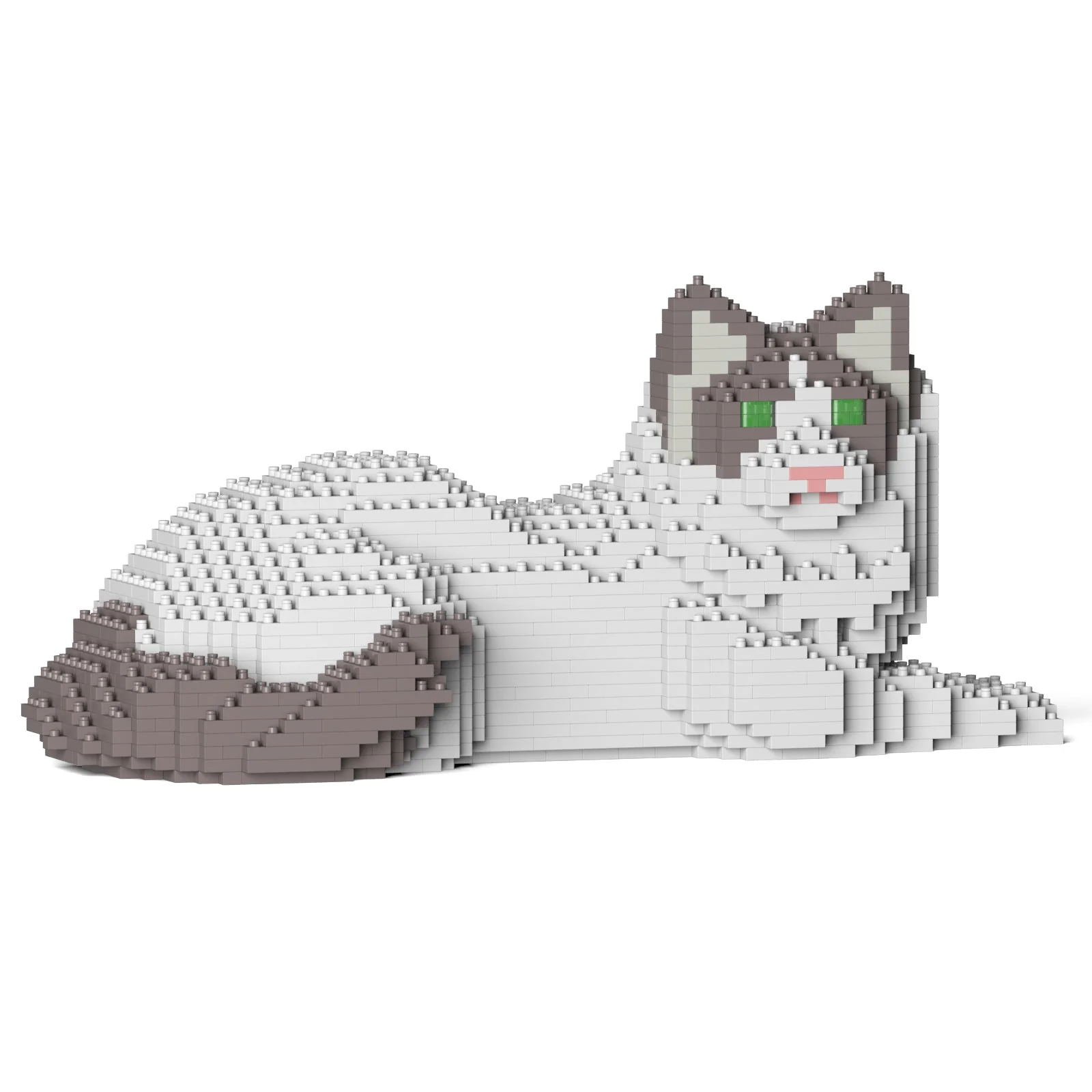 Ragdoll Cat 03S-M02 - Image 6