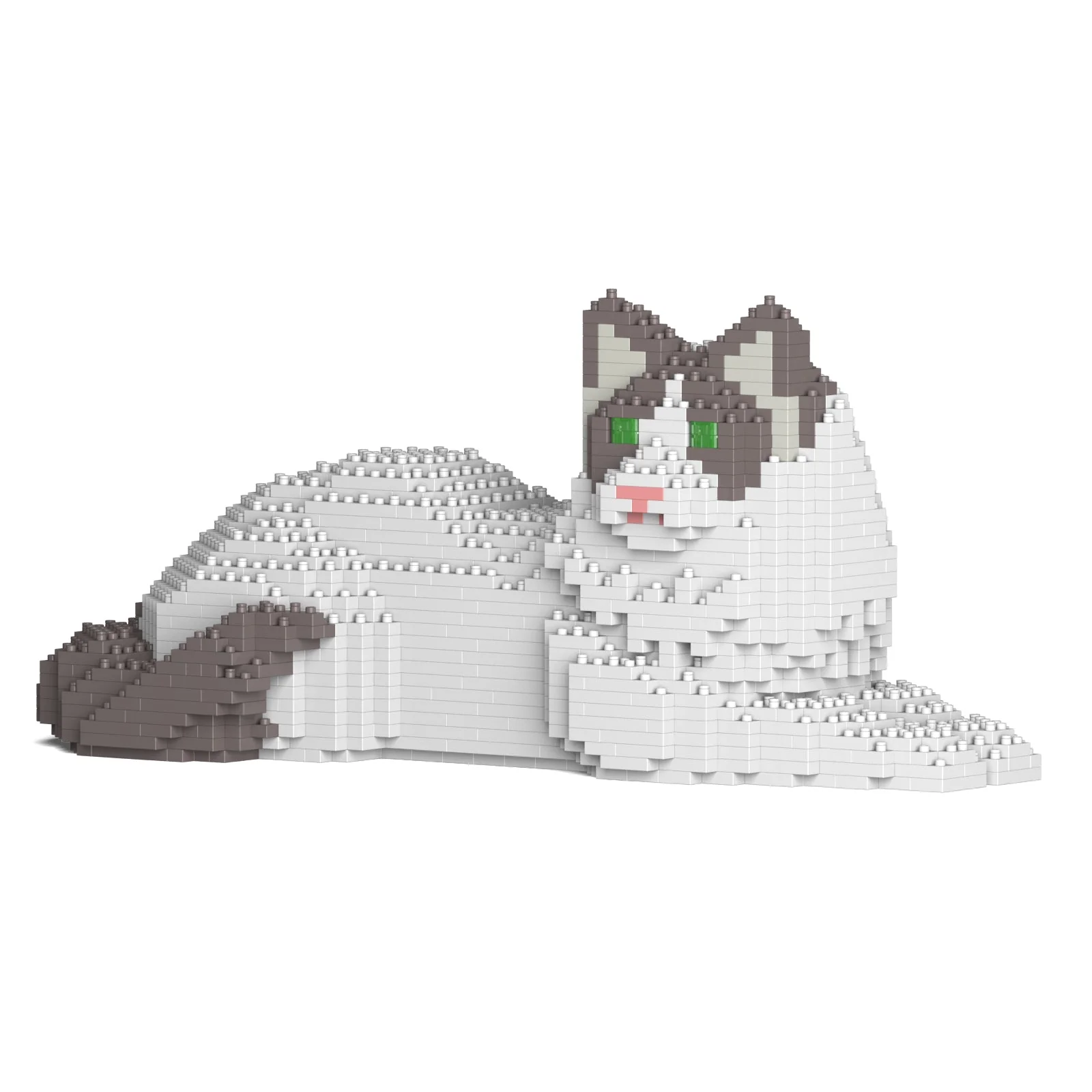 Ragdoll Cat 03S-M02 - Image 7