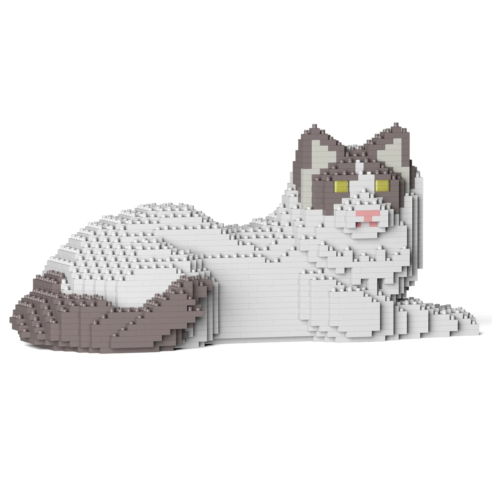 Ragdoll Cat 03S-M02 - Image 8