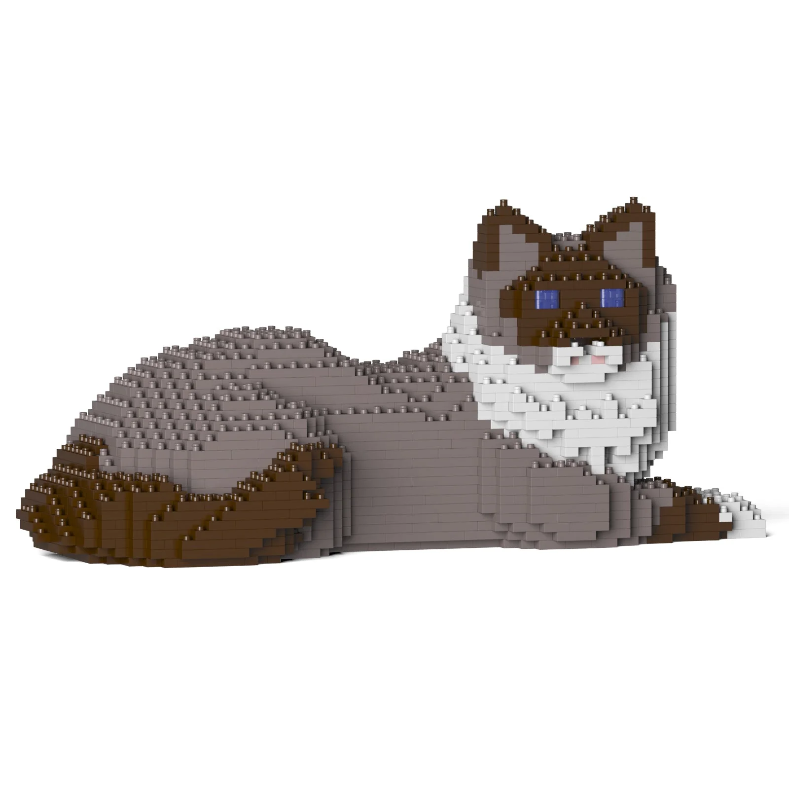 Ragdoll Cat 03S-M03 - Image 10