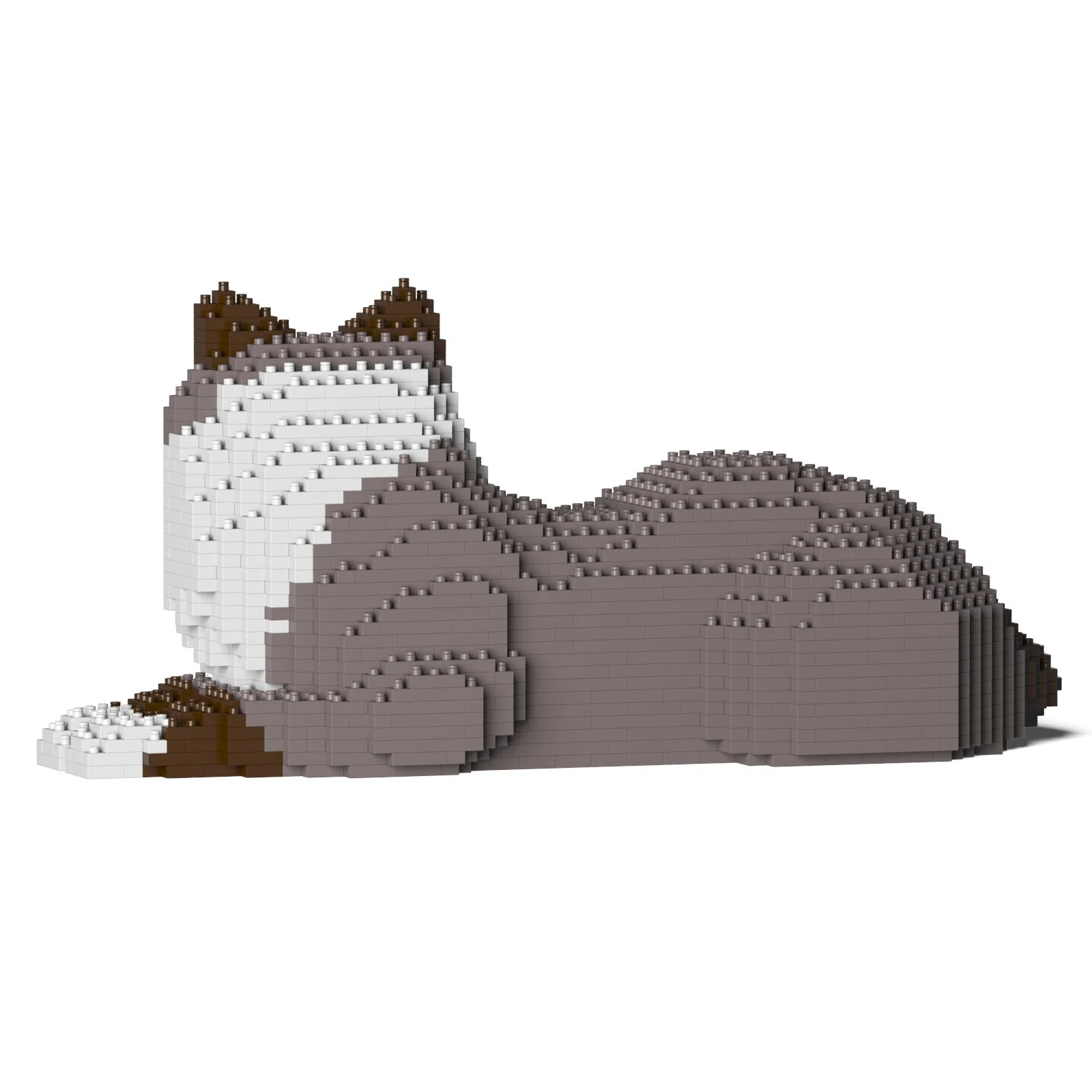 Ragdoll Cat 03S-M03 - Image 3
