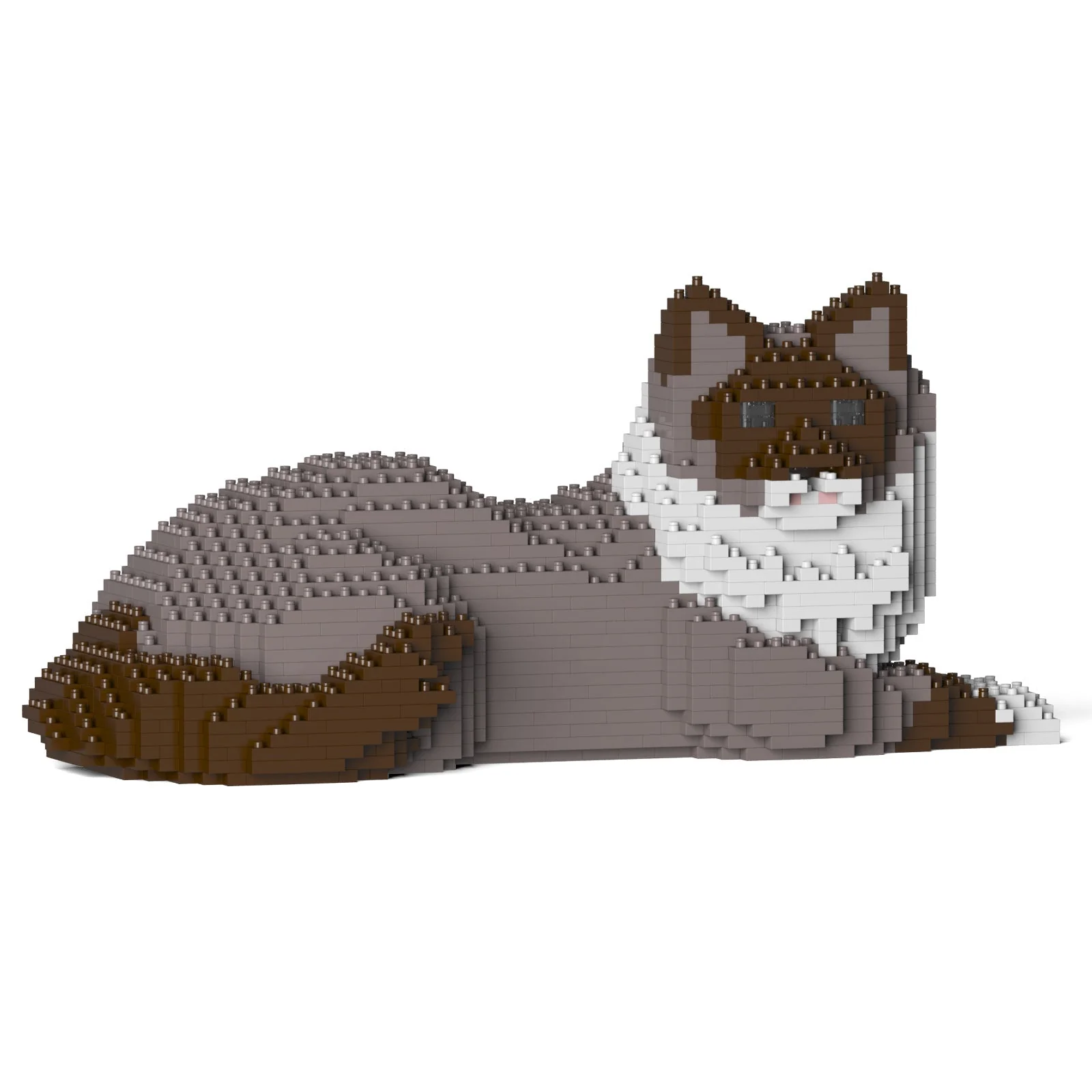 Ragdoll Cat 03S-M03 - Image 4