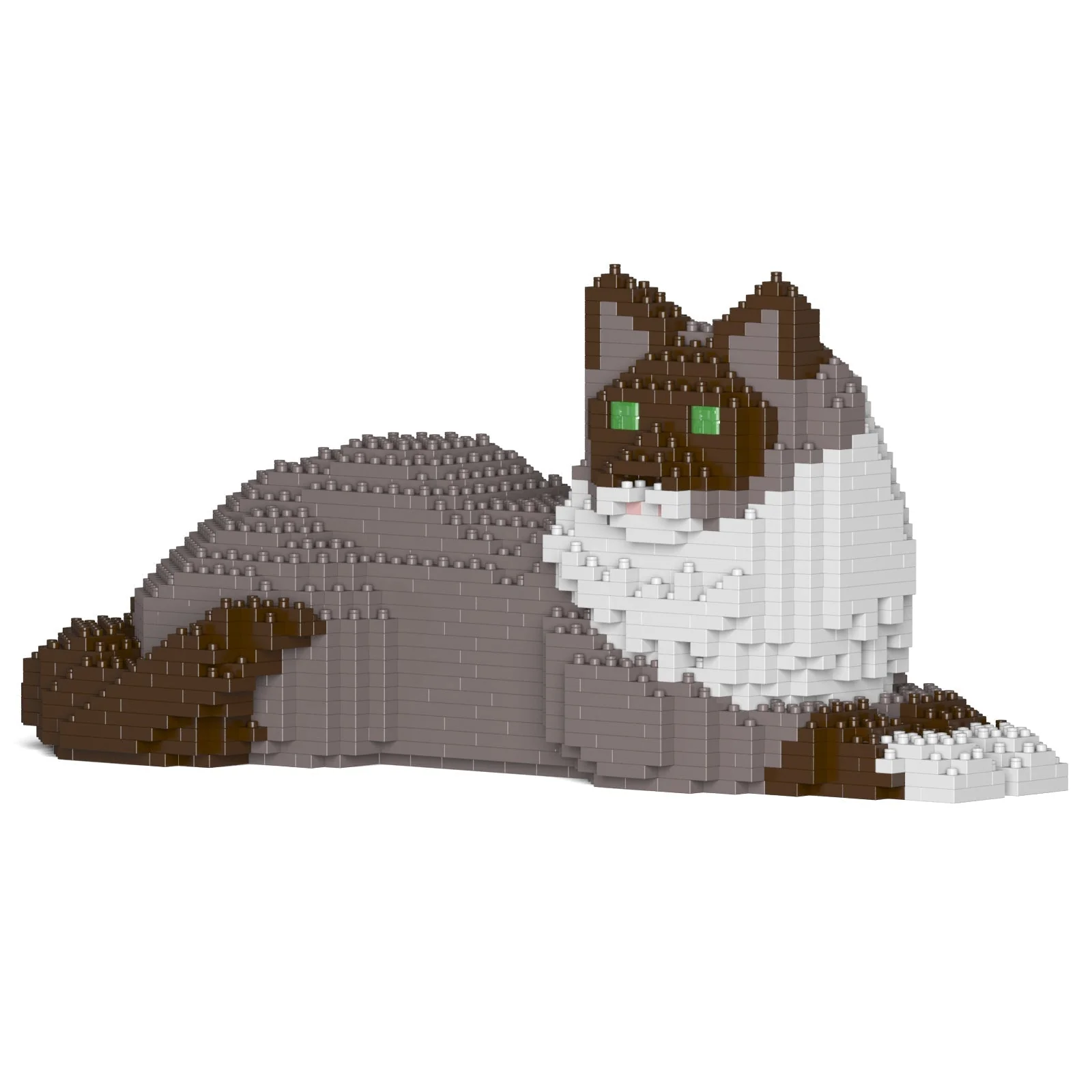Ragdoll Cat 03S-M03 - Image 7